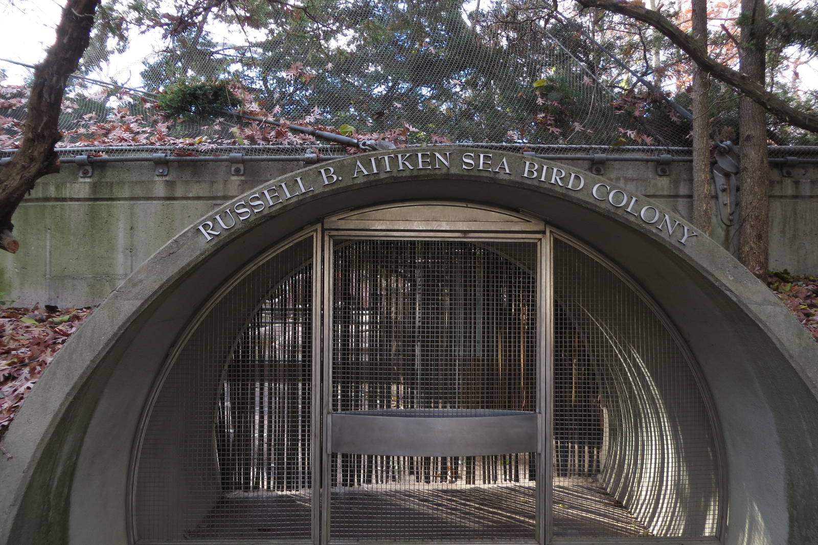 Russell B. Aitken Sea Bird Colony 031215
