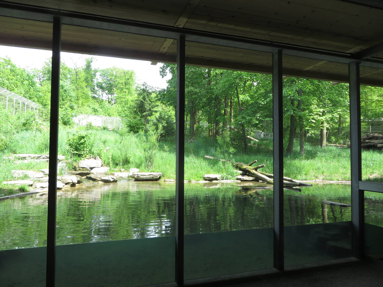 Russian brown bear enclosure
