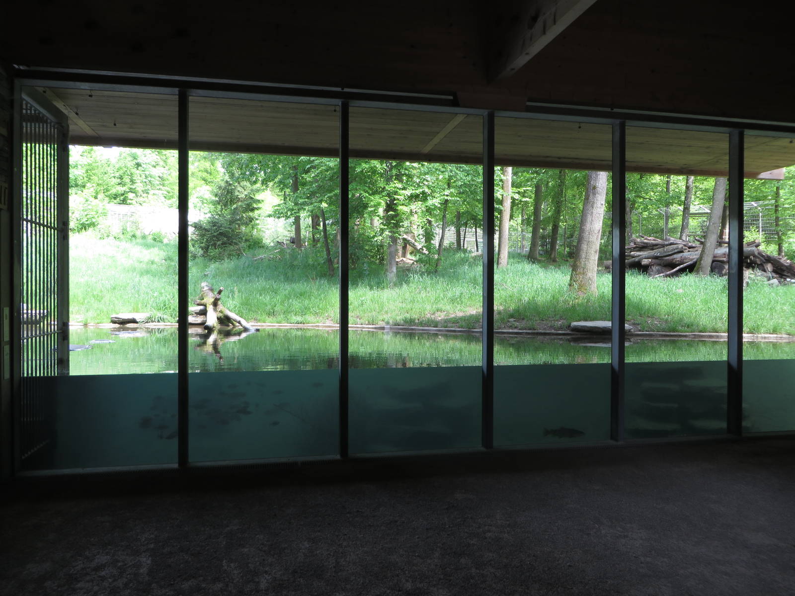 Russian brown bear enclosure