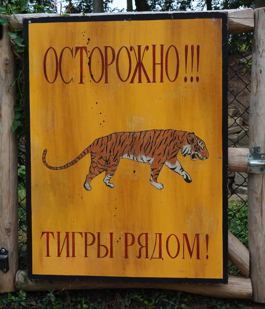 Russian tiger sign, 2020-09-03