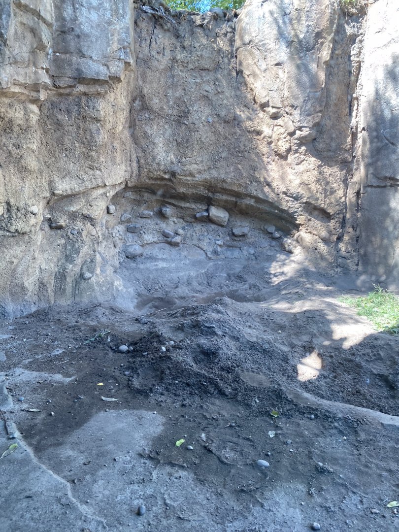 Russia’s grizzly coast- Alaskan brown bear exhibit