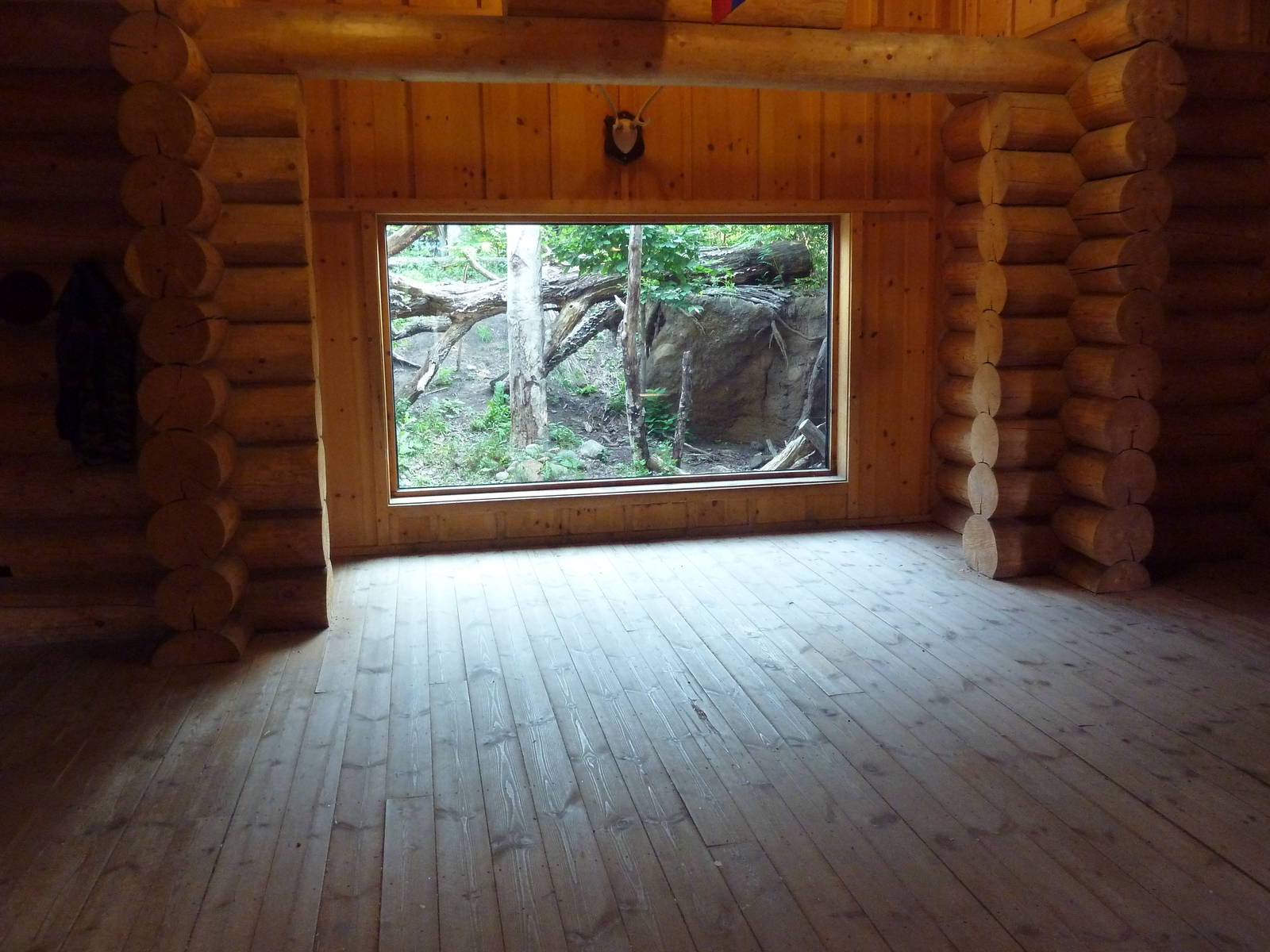 Russia's Grizzly Coast - Amur Leopard Exhibit