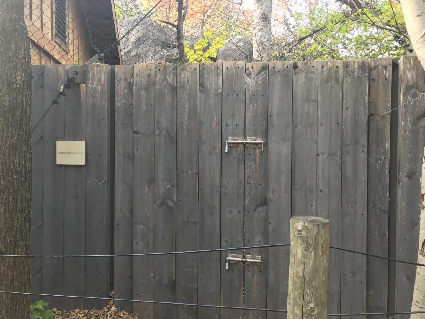 Russia’s Grizzly Coast - Amur Leopard Training Area