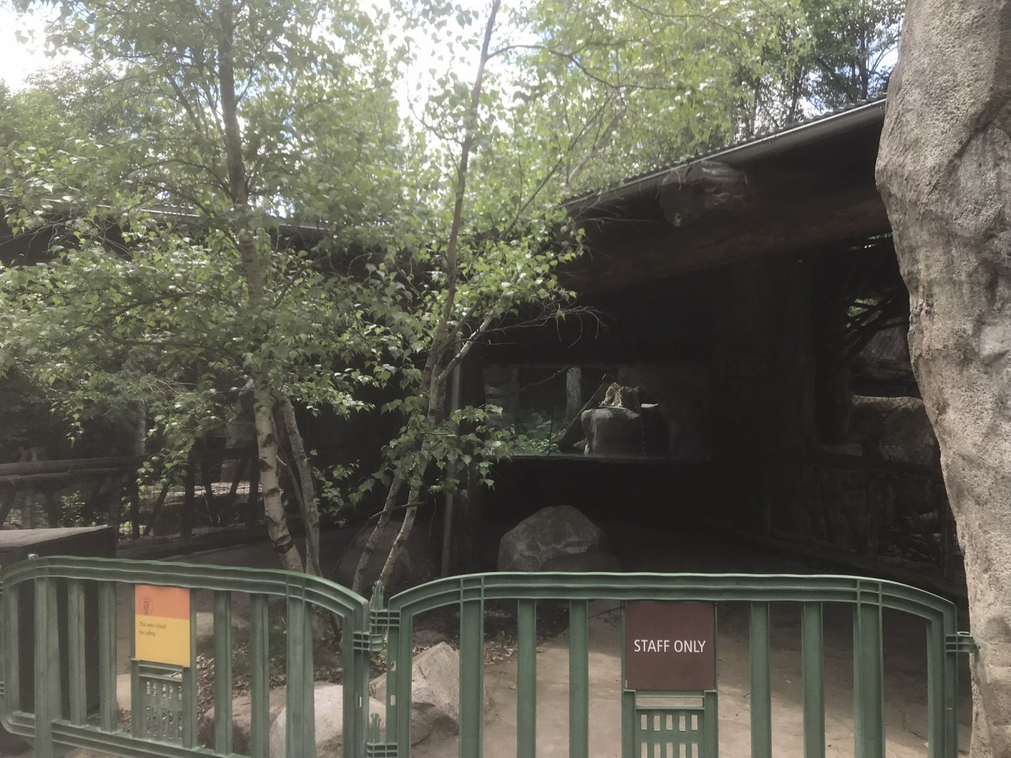 Russia’s Grizzly Coast - Amur Leopard