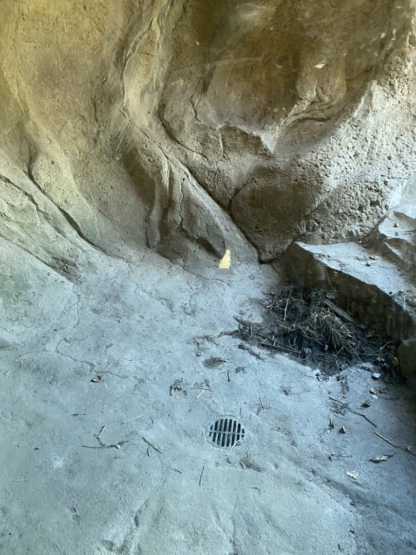 Russia’s grizzly coast- bear den