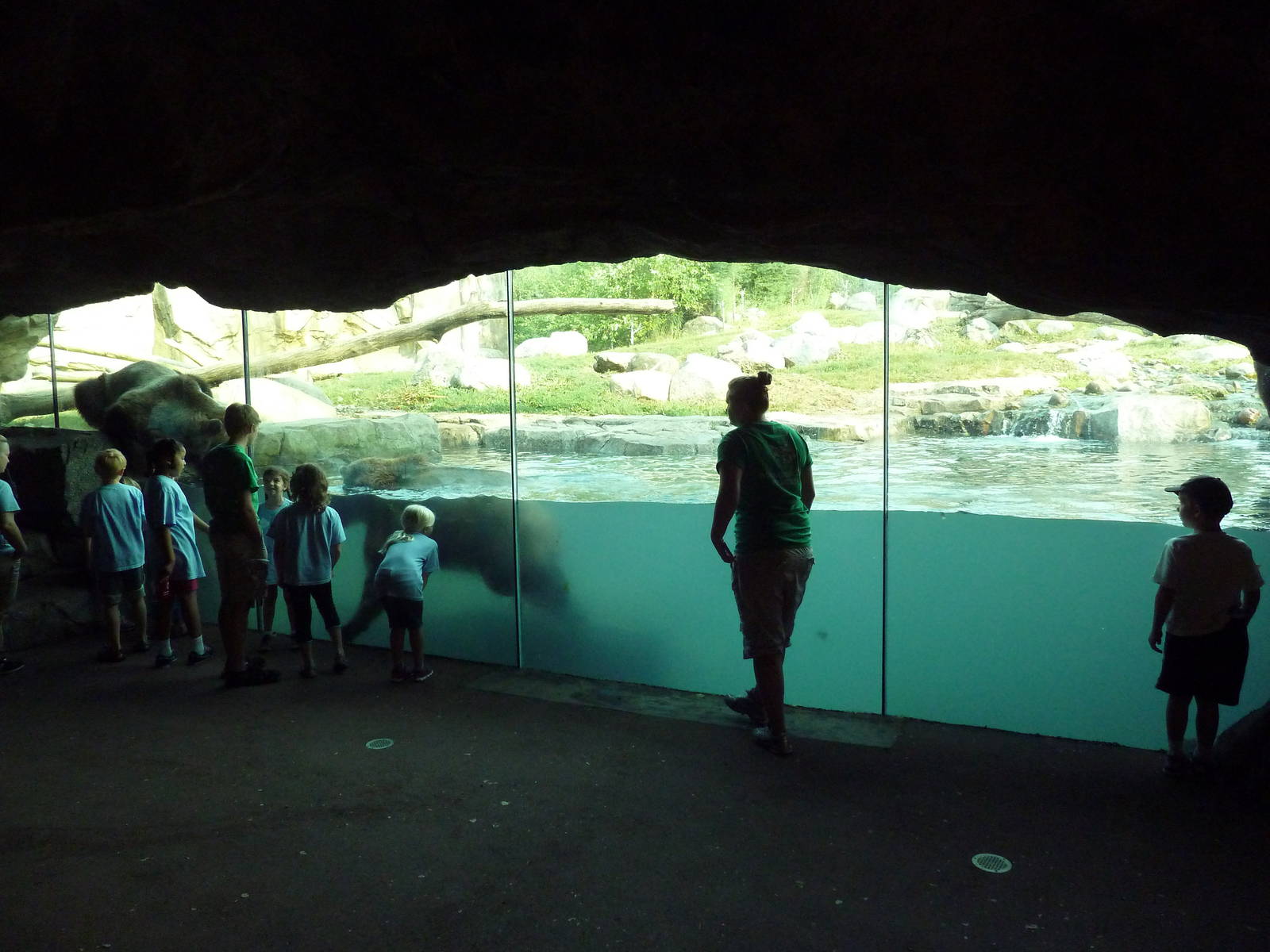 Russia's Grizzly Coast - Brown Bear Exhibit