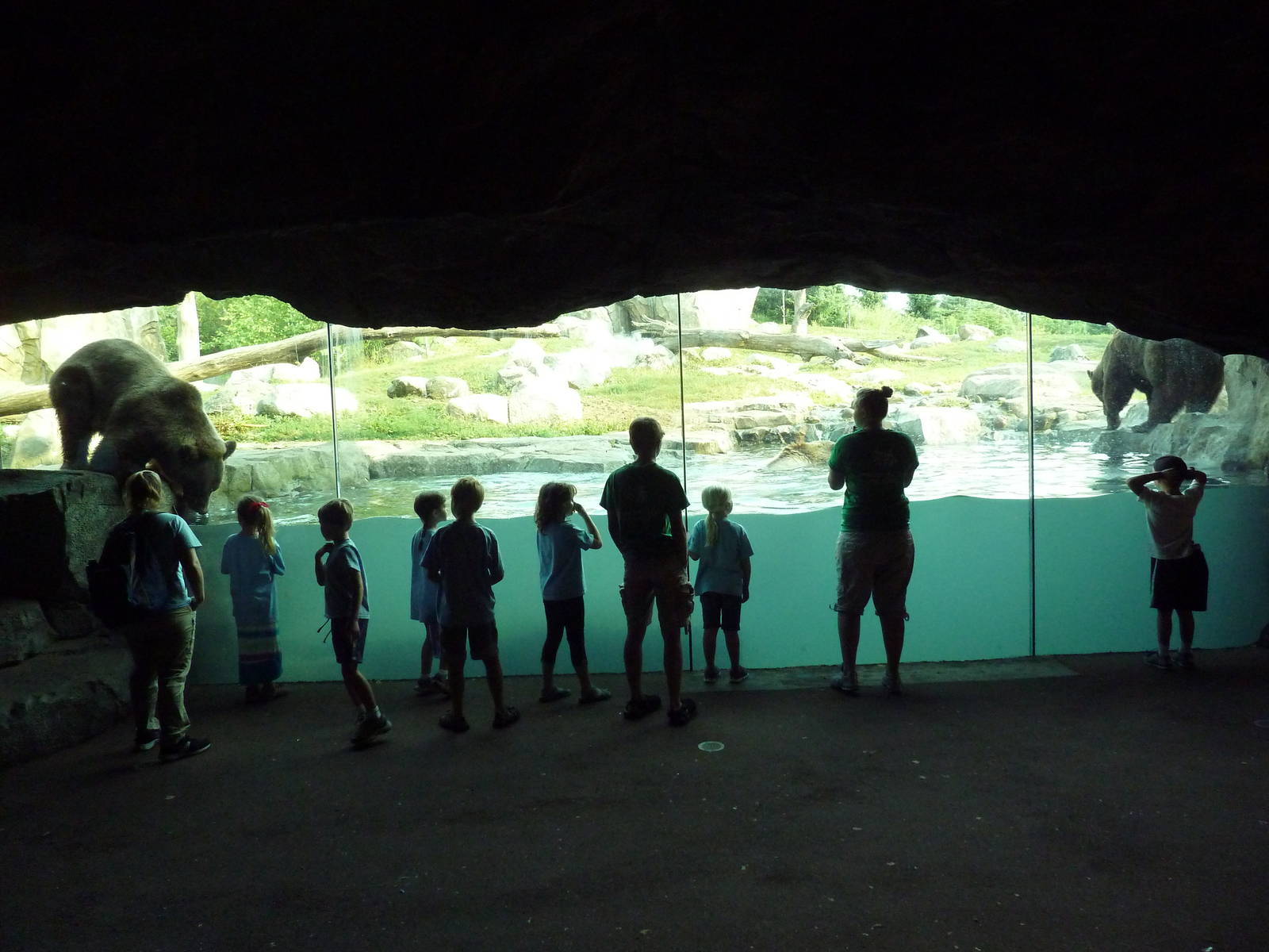 Russia's Grizzly Coast - Brown Bear Exhibit