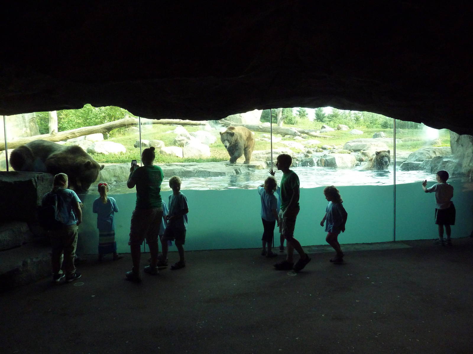 Russia's Grizzly Coast - Brown Bear Exhibit