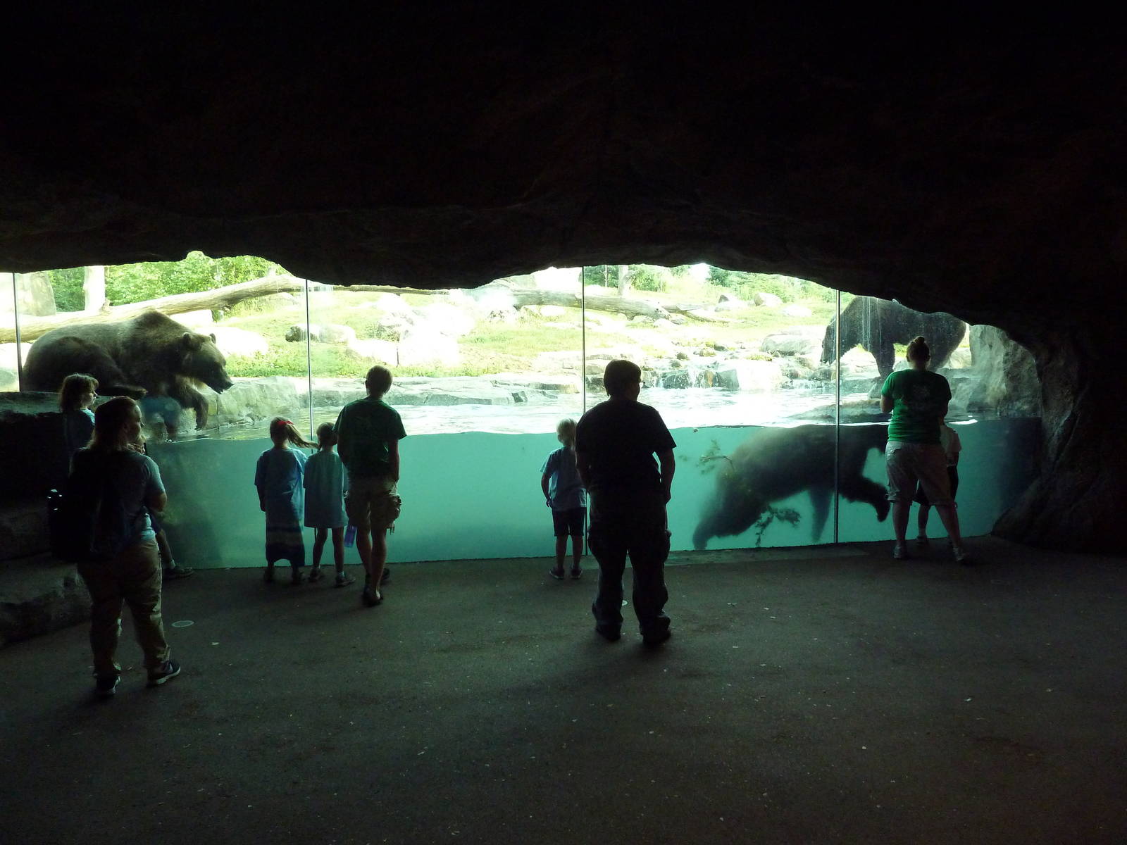 Russia's Grizzly Coast - Brown Bear Exhibit