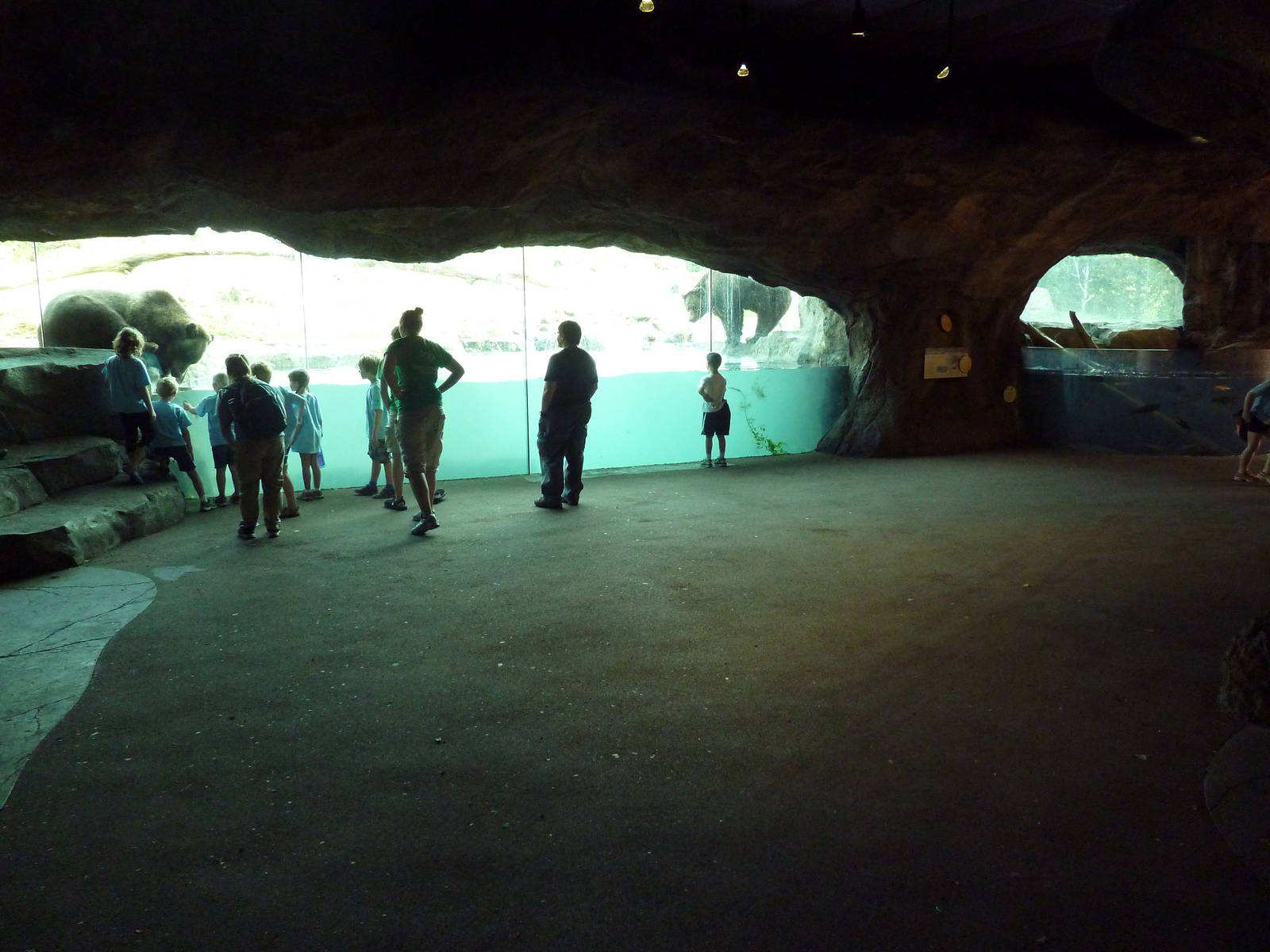 Russia's Grizzly Coast - Brown Bear Exhibit