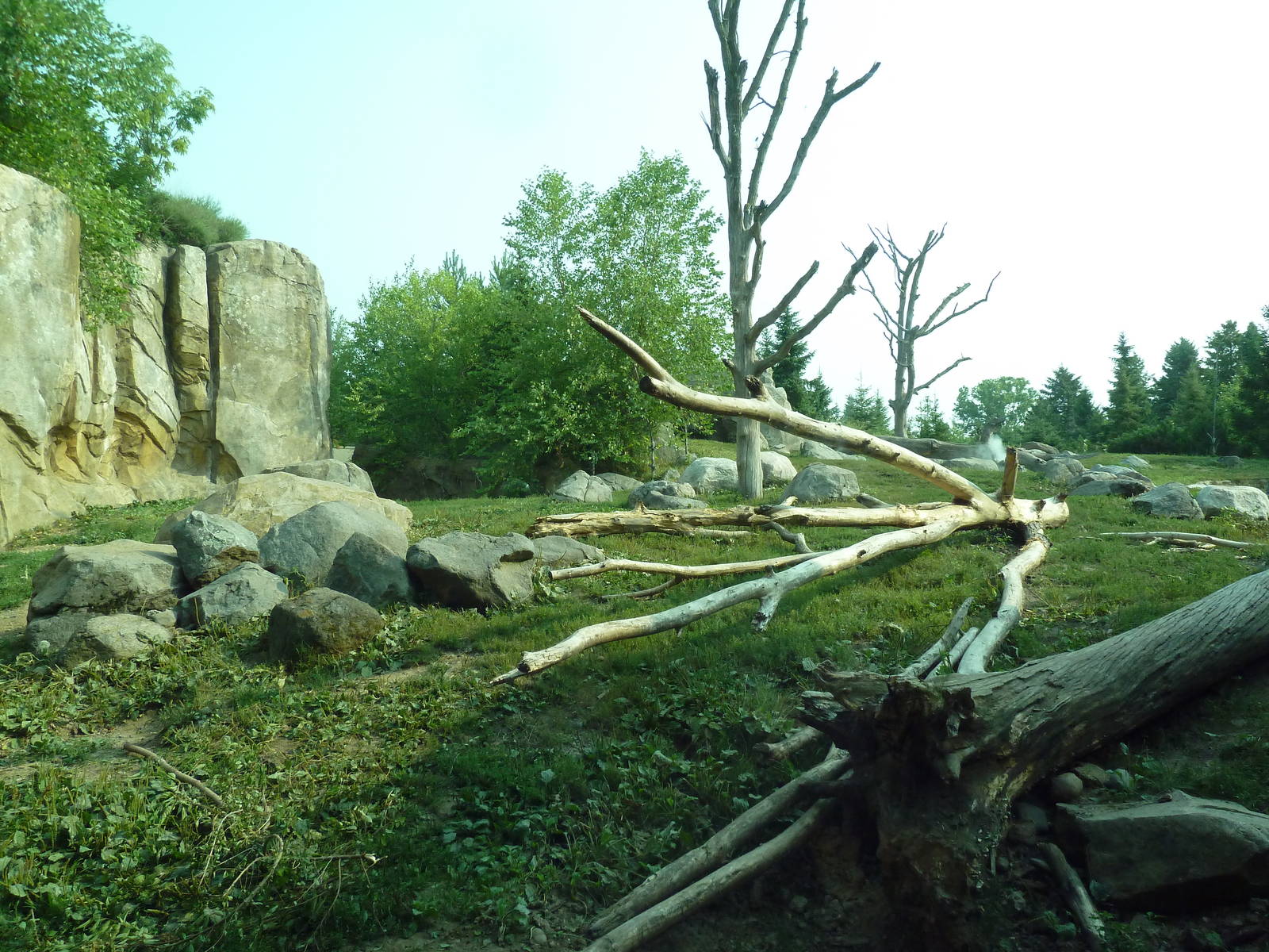 Russia's Grizzly Coast - Brown Bear Exhibit