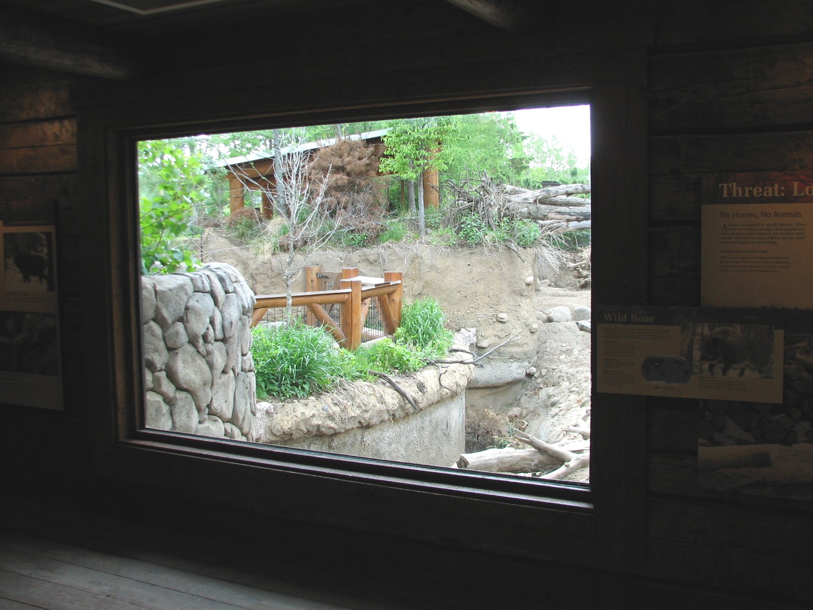 Russia's Grizzly Coast - Forested South - Conservation Science Cabin View o