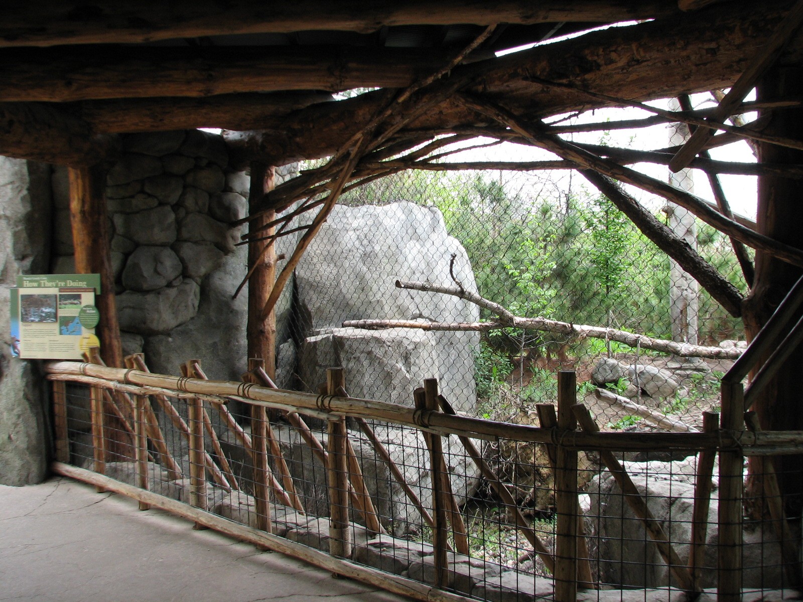 Russia's Grizzly Coast - Forested South - First Amur Leopard Exhibit Viewin