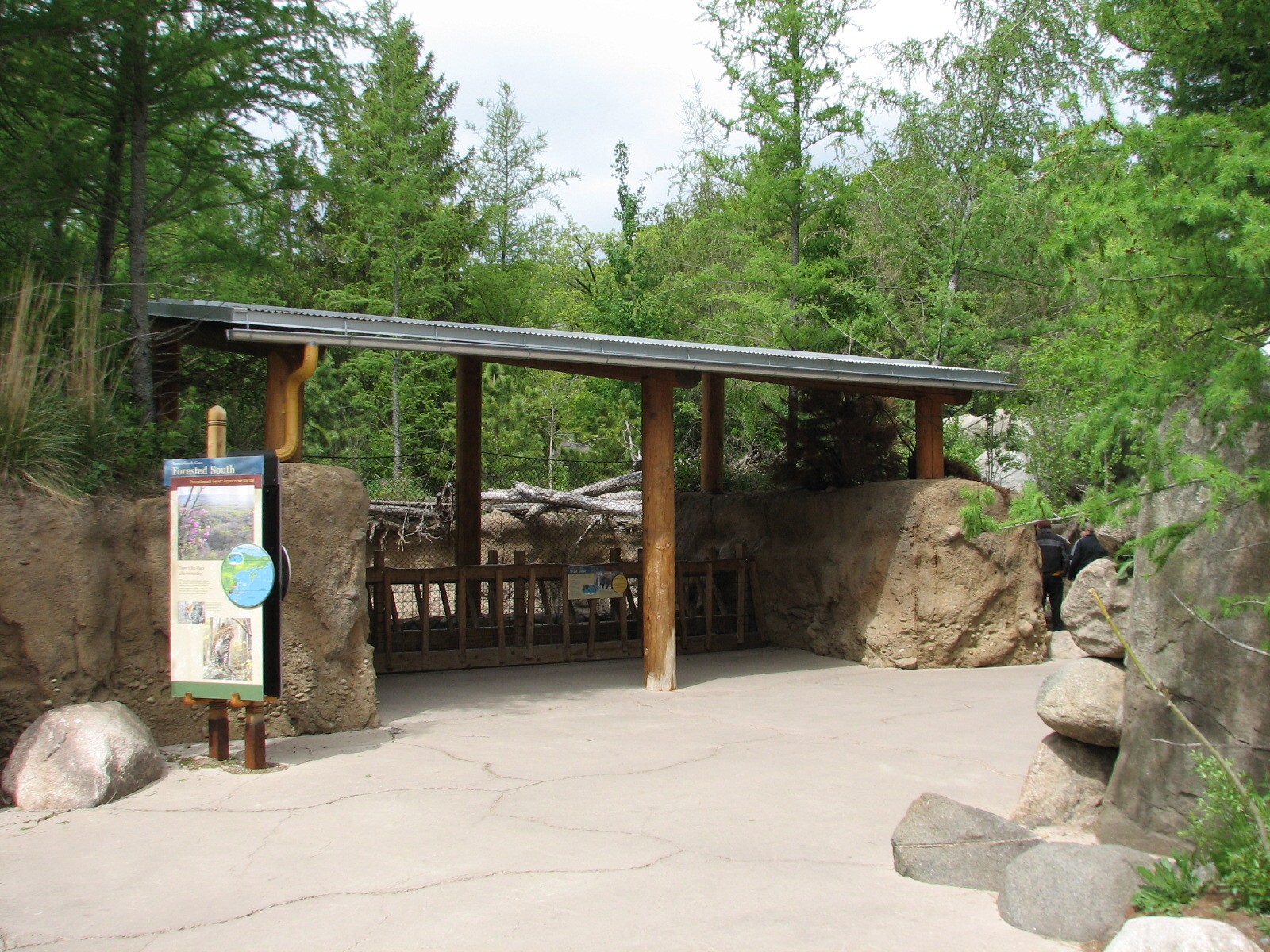 Russia's Grizzly Coast - Forested South - Wild Boar Exhibit First Viewing S