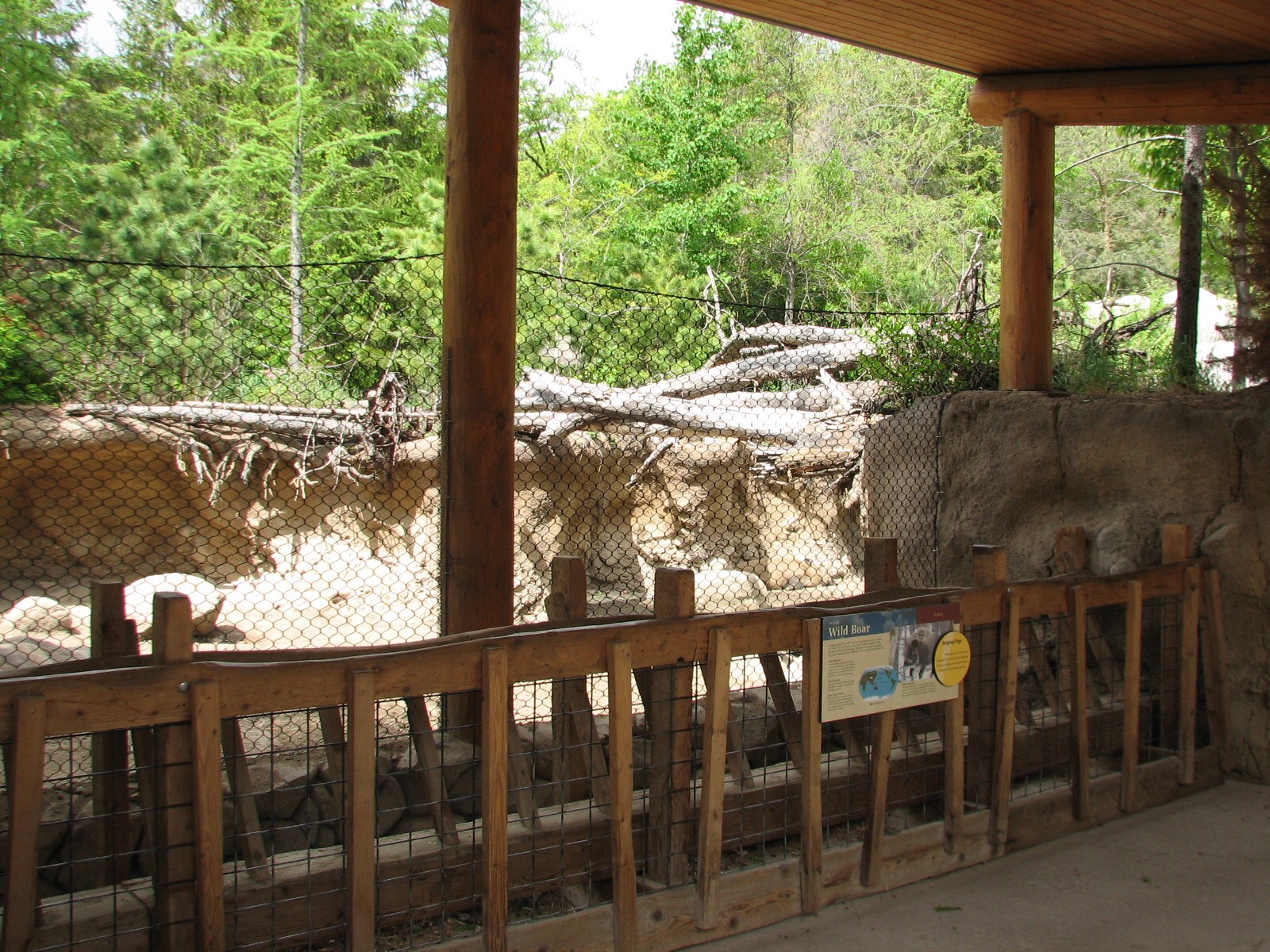 Russia's Grizzly Coast - Forested South - Wild Boar Exhibit First Viewing S