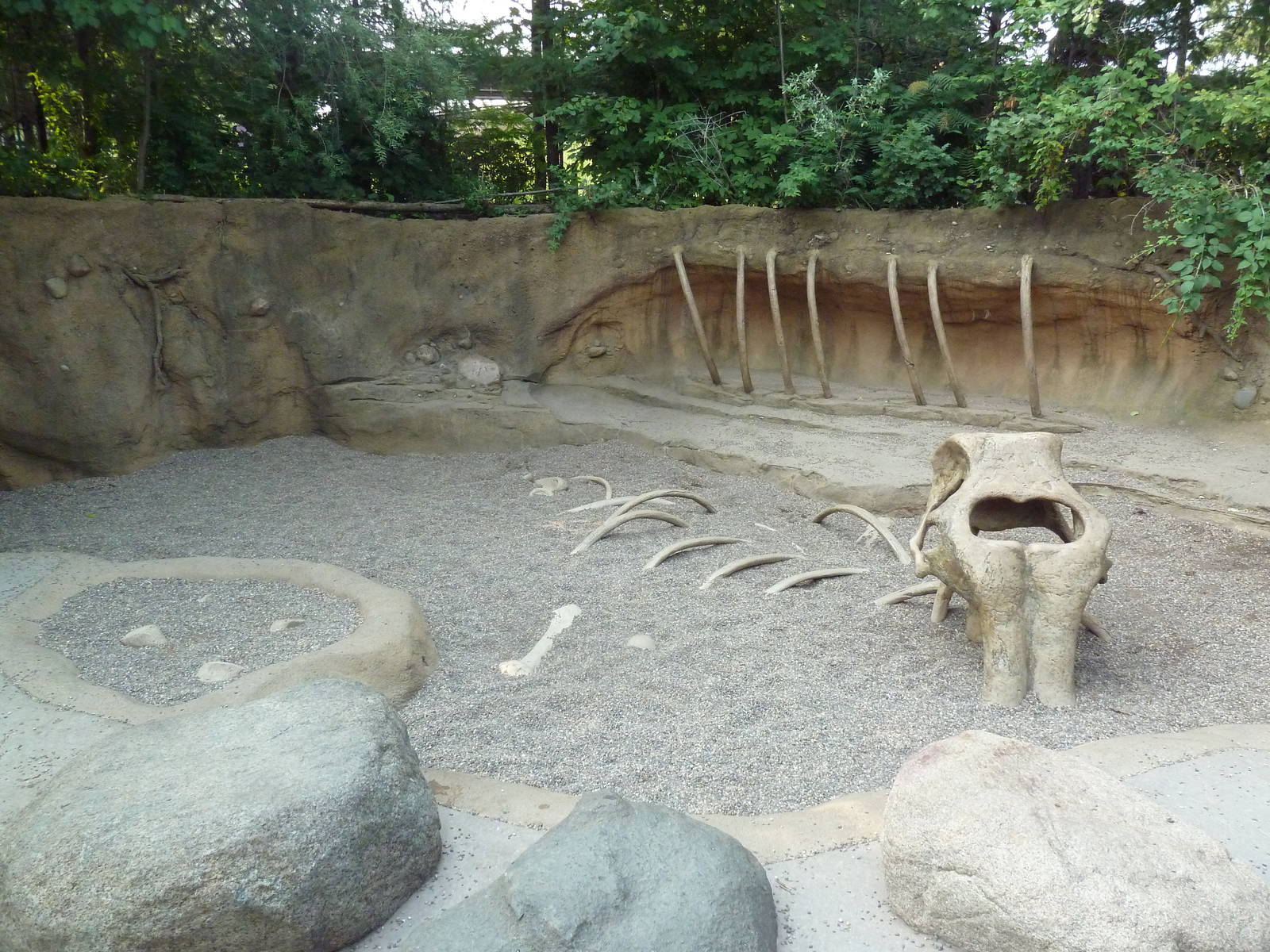 Russia's Grizzly Coast - Fossil Dig Site