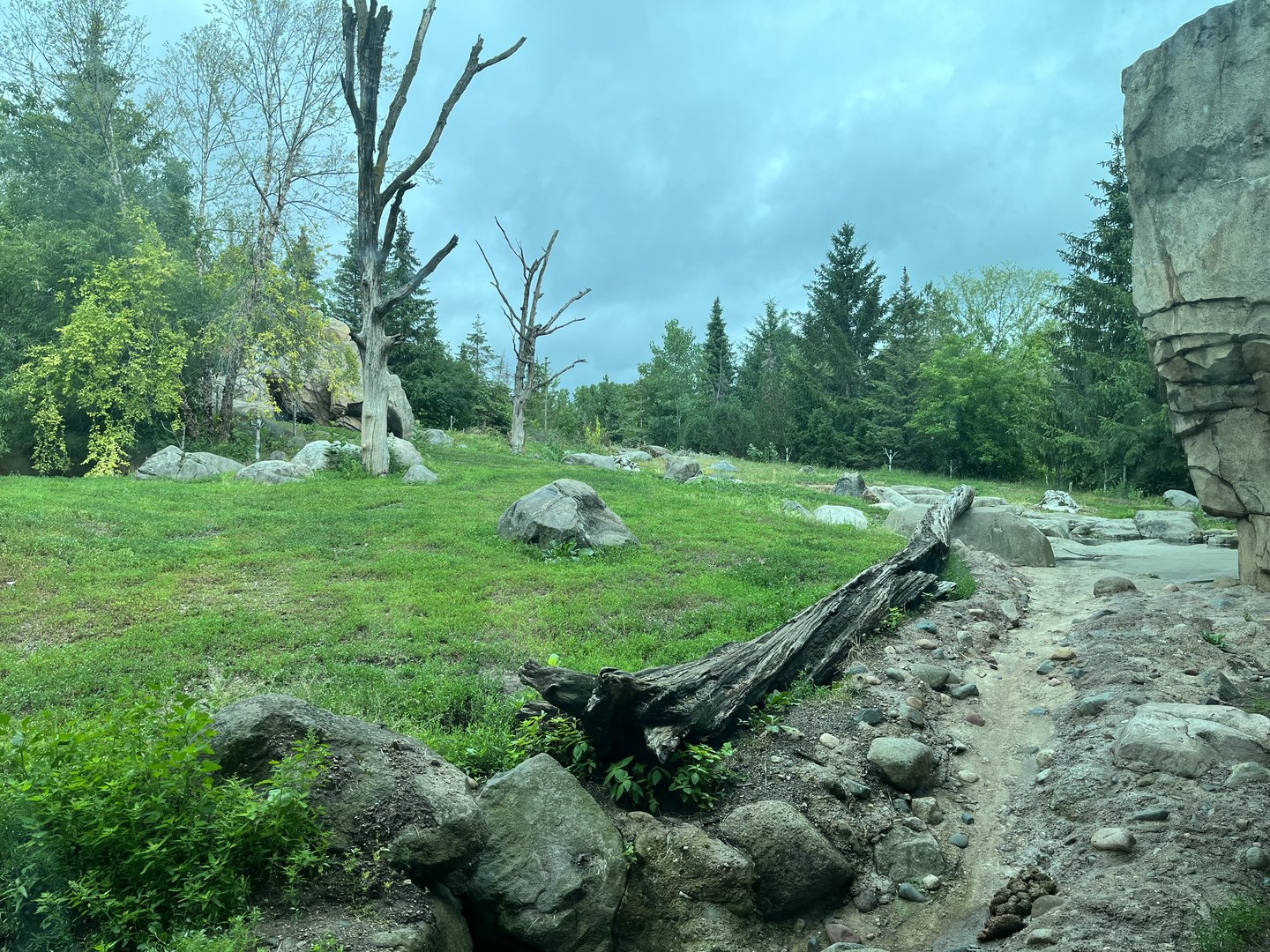 Russia’s Grizzly Coast - Grizzly Bear Exhibit