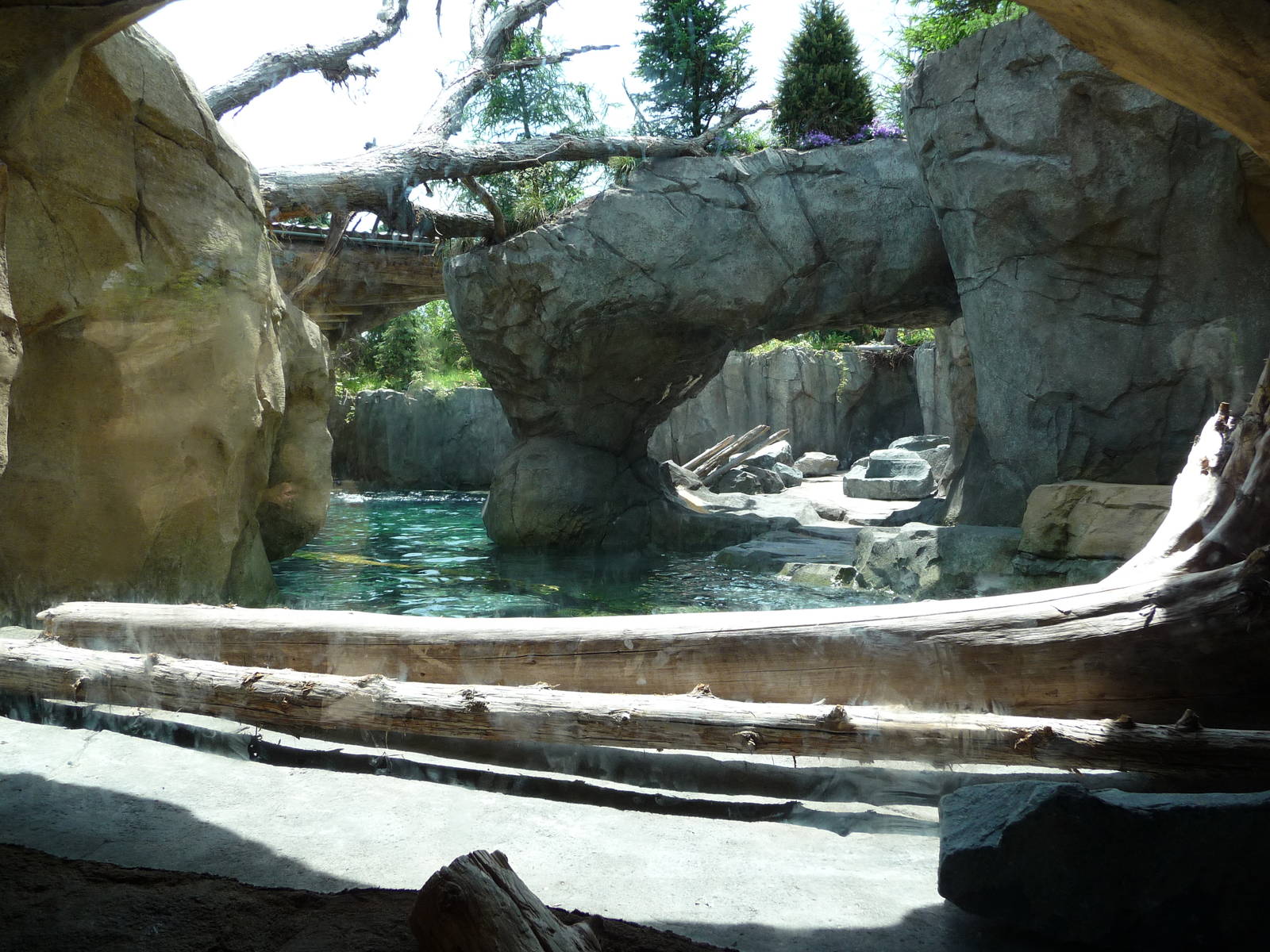 Russia's Grizzly Coast - Minnesota Zoo