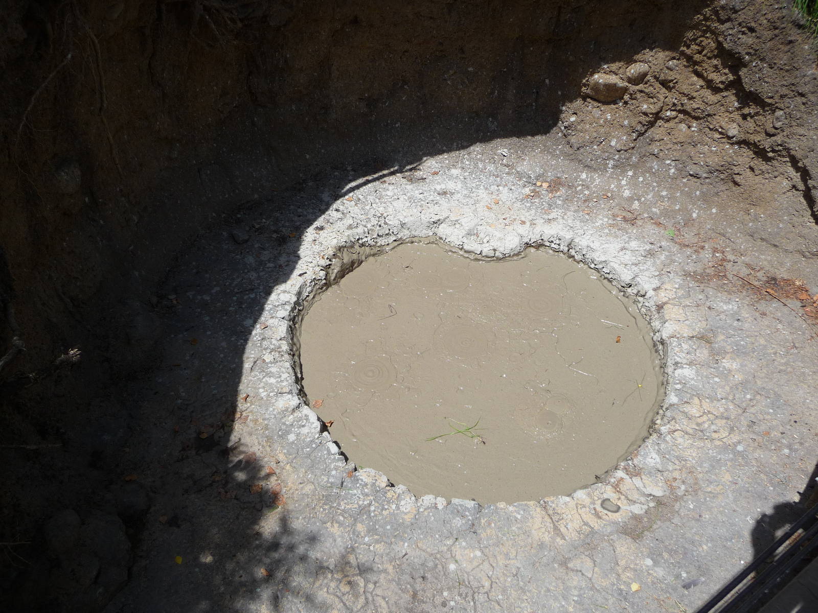 Russia's Grizzly Coast - Minnesota Zoo