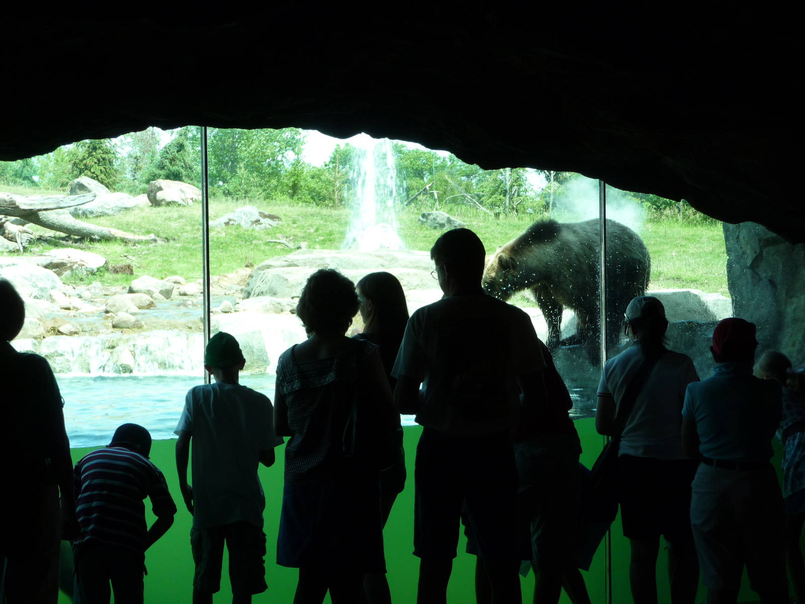 Russia's Grizzly Coast - Minnesota Zoo