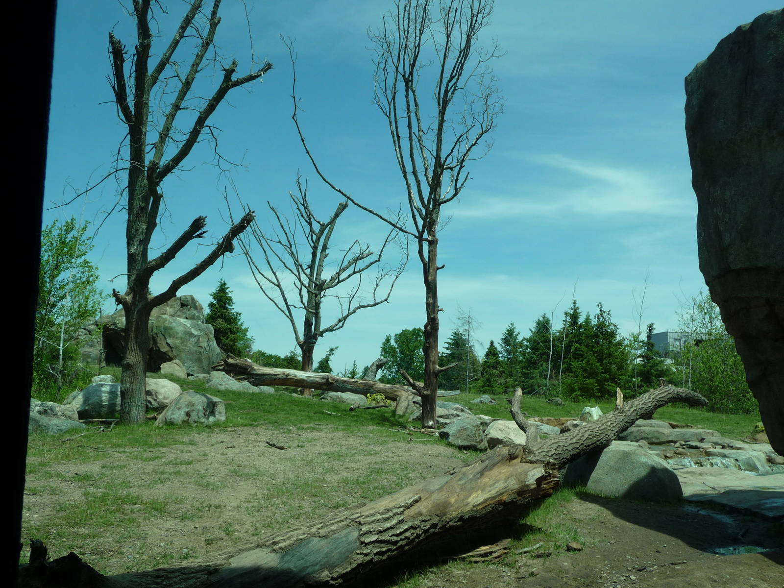 Russia's Grizzly Coast - Minnesota Zoo