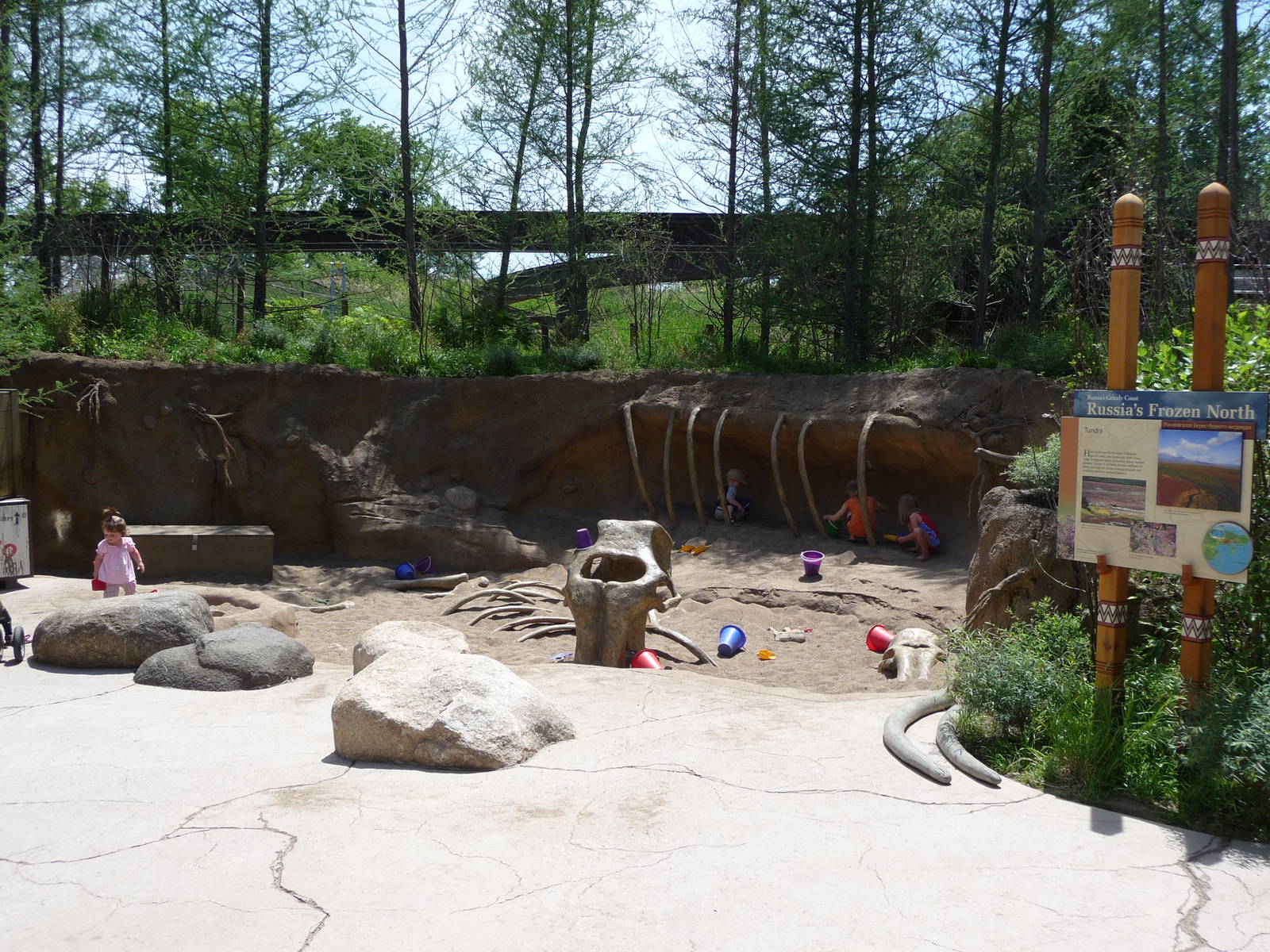 Russia's Grizzly Coast - Minnesota Zoo