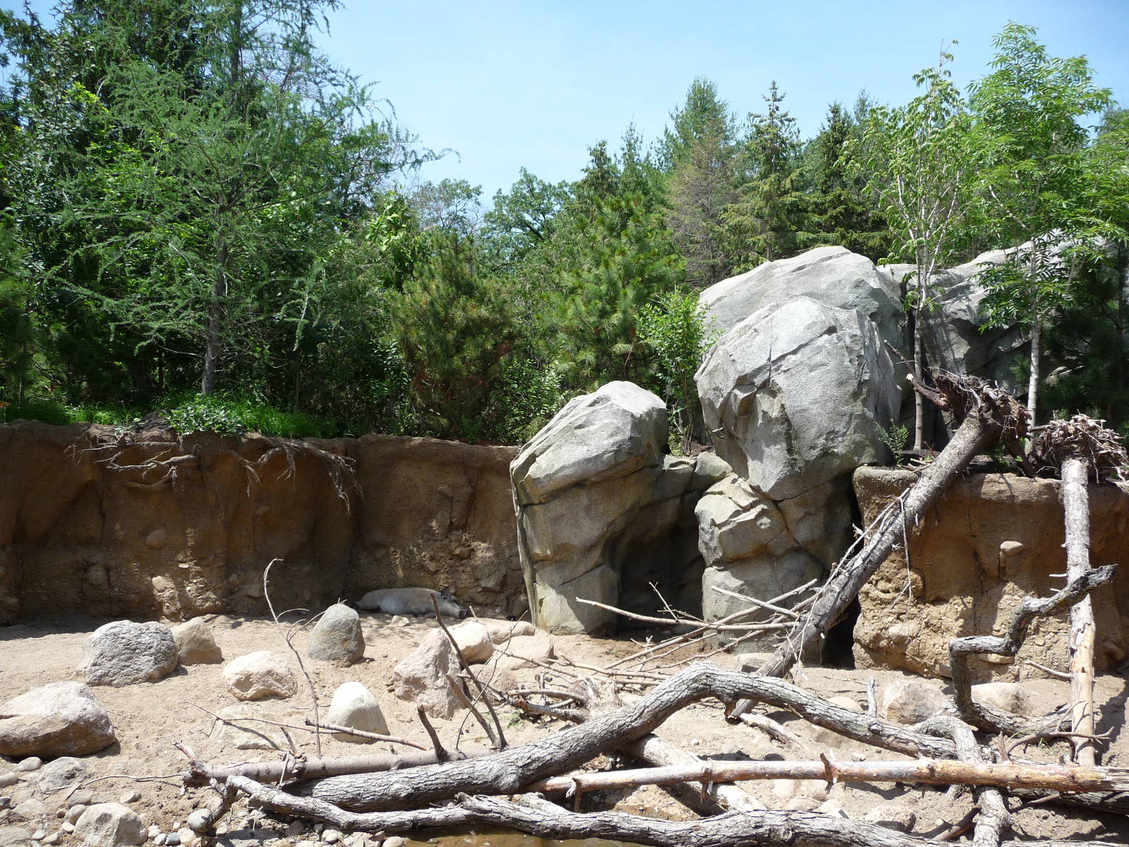 Russia's Grizzly Coast - Minnesota Zoo