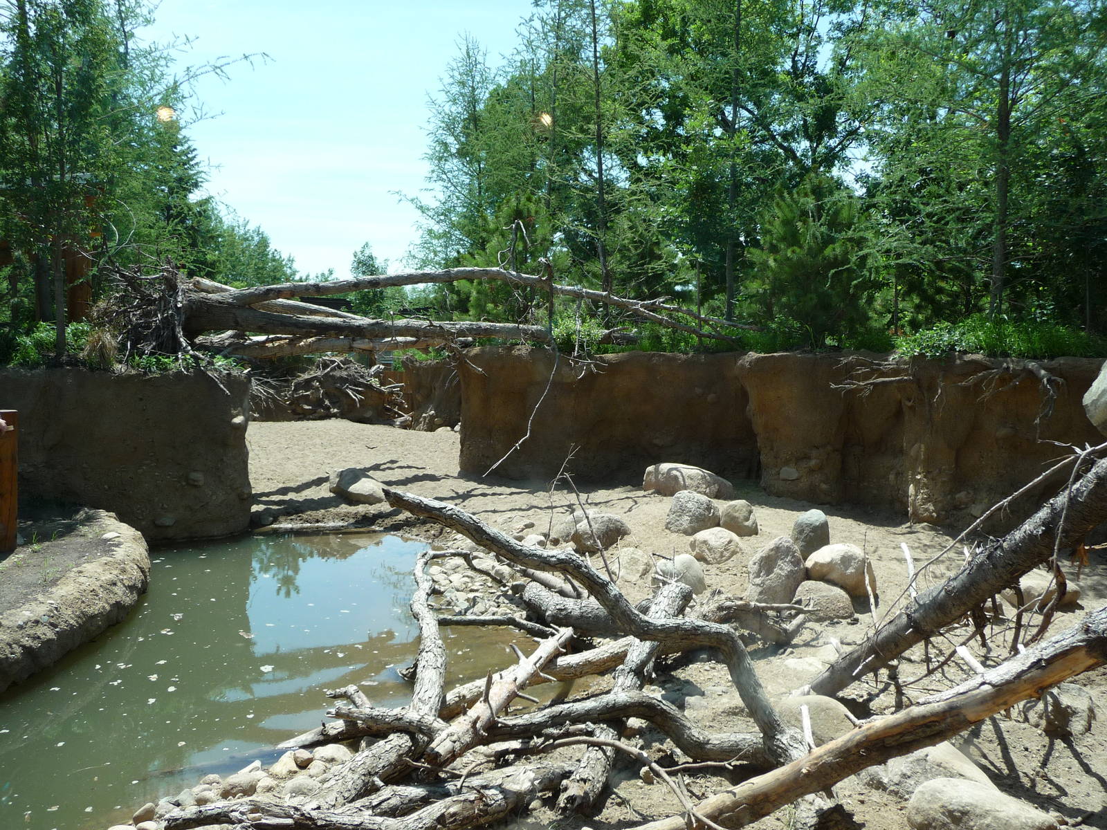 Russia's Grizzly Coast - Minnesota Zoo