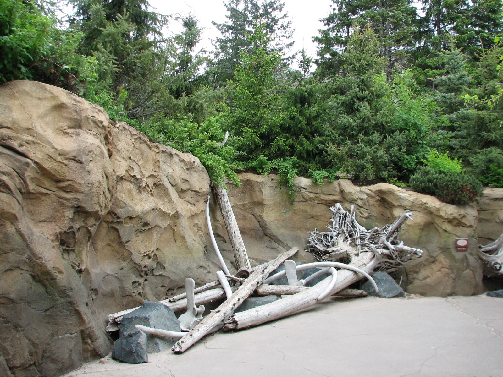 Russia's Grizzly Coast - Pacific Shores - Path