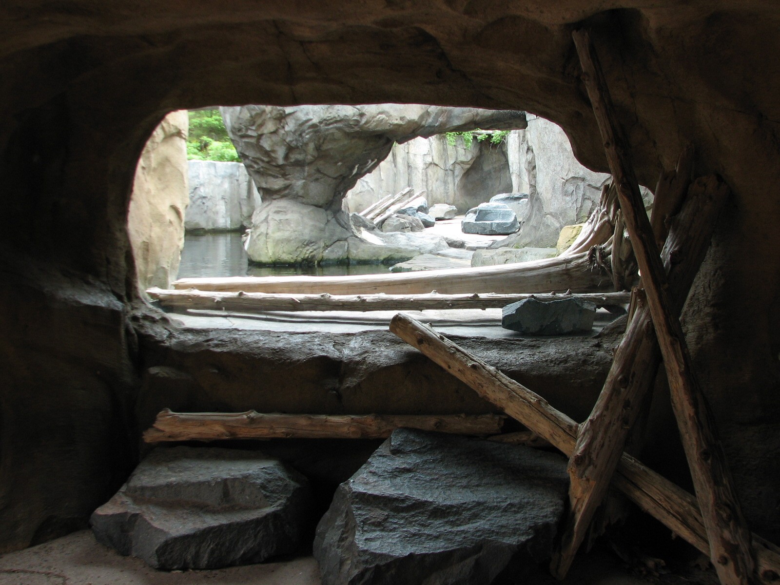 Russia's Grizzly Coast - Pacific Shores - Sea Otter Exhibit First Viewing W