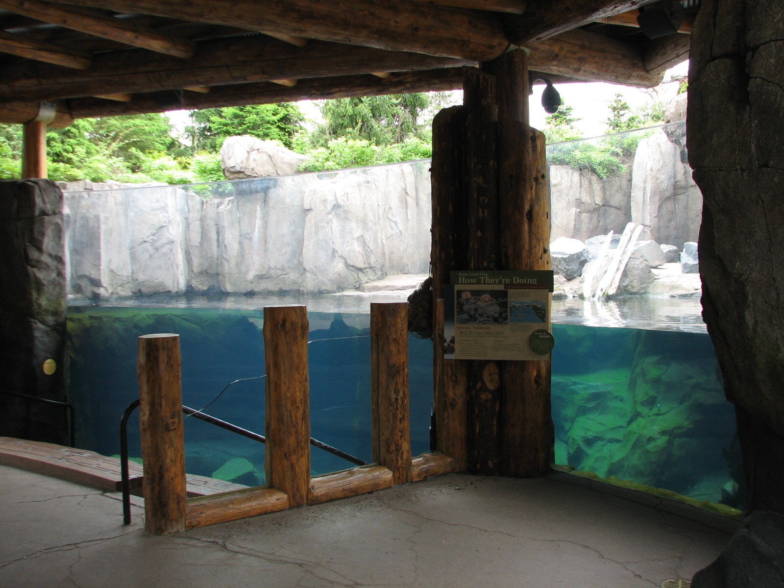 Russia's Grizzly Coast - Pacific Shores - Sea Otter Exhibit Second Viewing