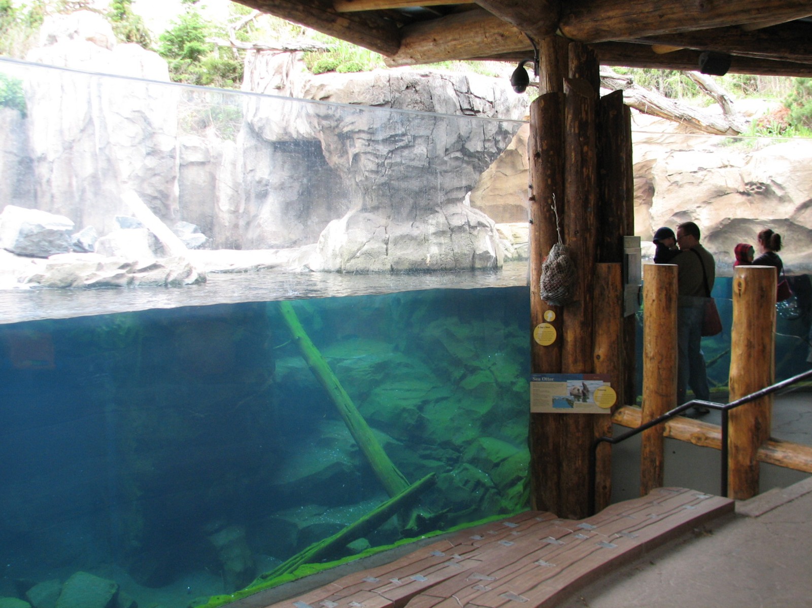 Russia's Grizzly Coast - Pacific Shores - Sea Otter Exhibit Second Viewing