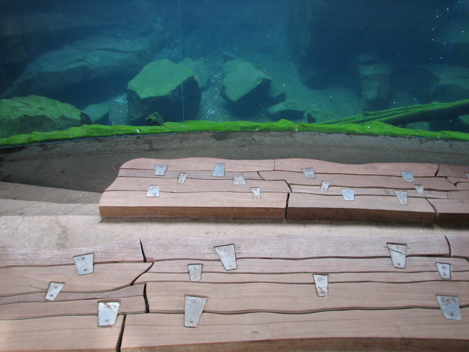 Russia's Grizzly Coast - Pacific Shores - Sea Otter Exhibit Viewing Seats