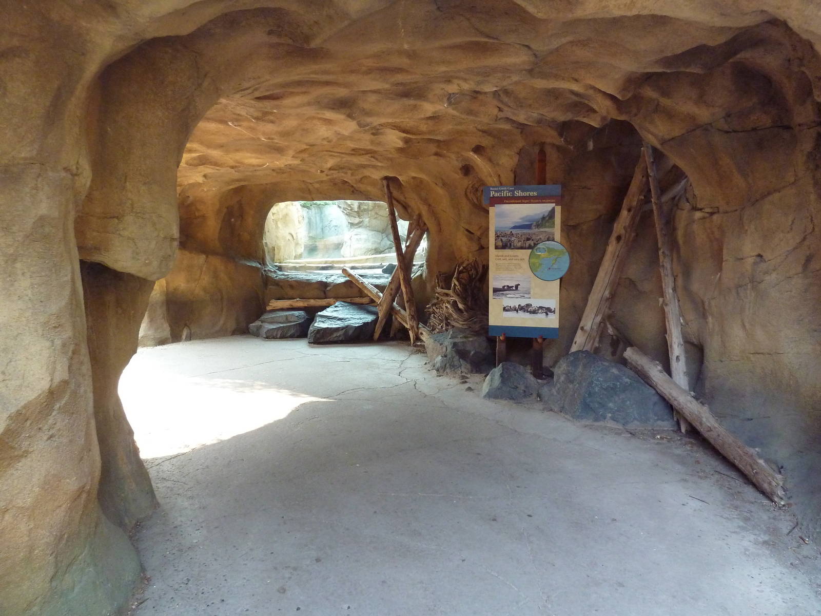 Russia's Grizzly Coast - Pathway