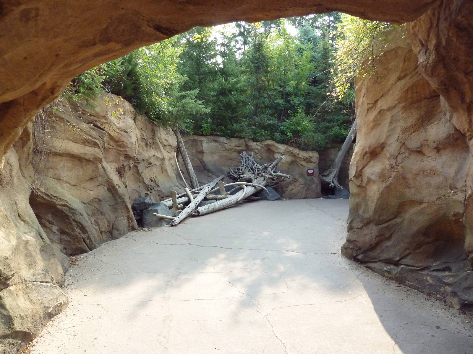Russia's Grizzly Coast - Pathway
