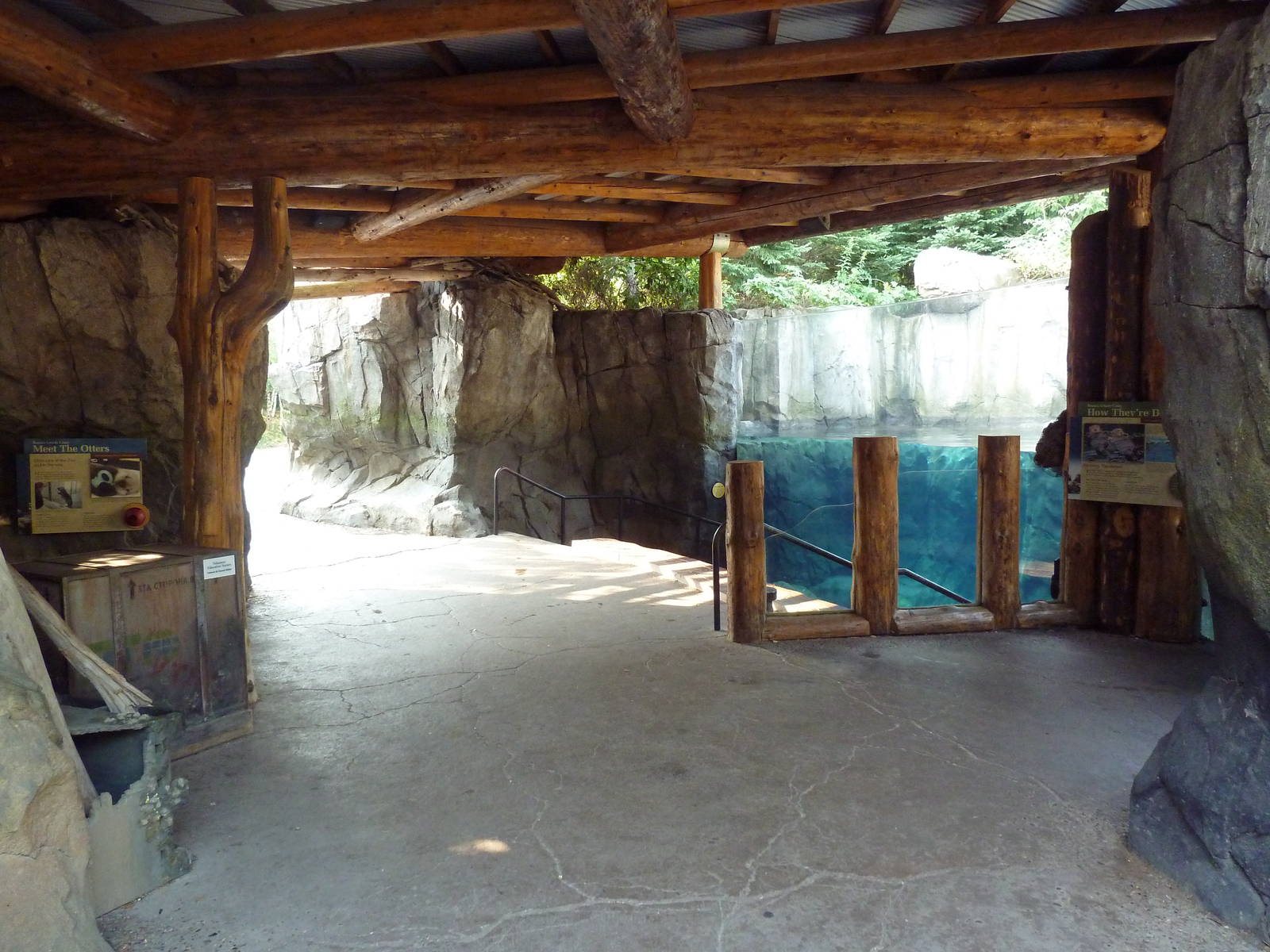 Russia's Grizzly Coast - Sea Otter Exhibit