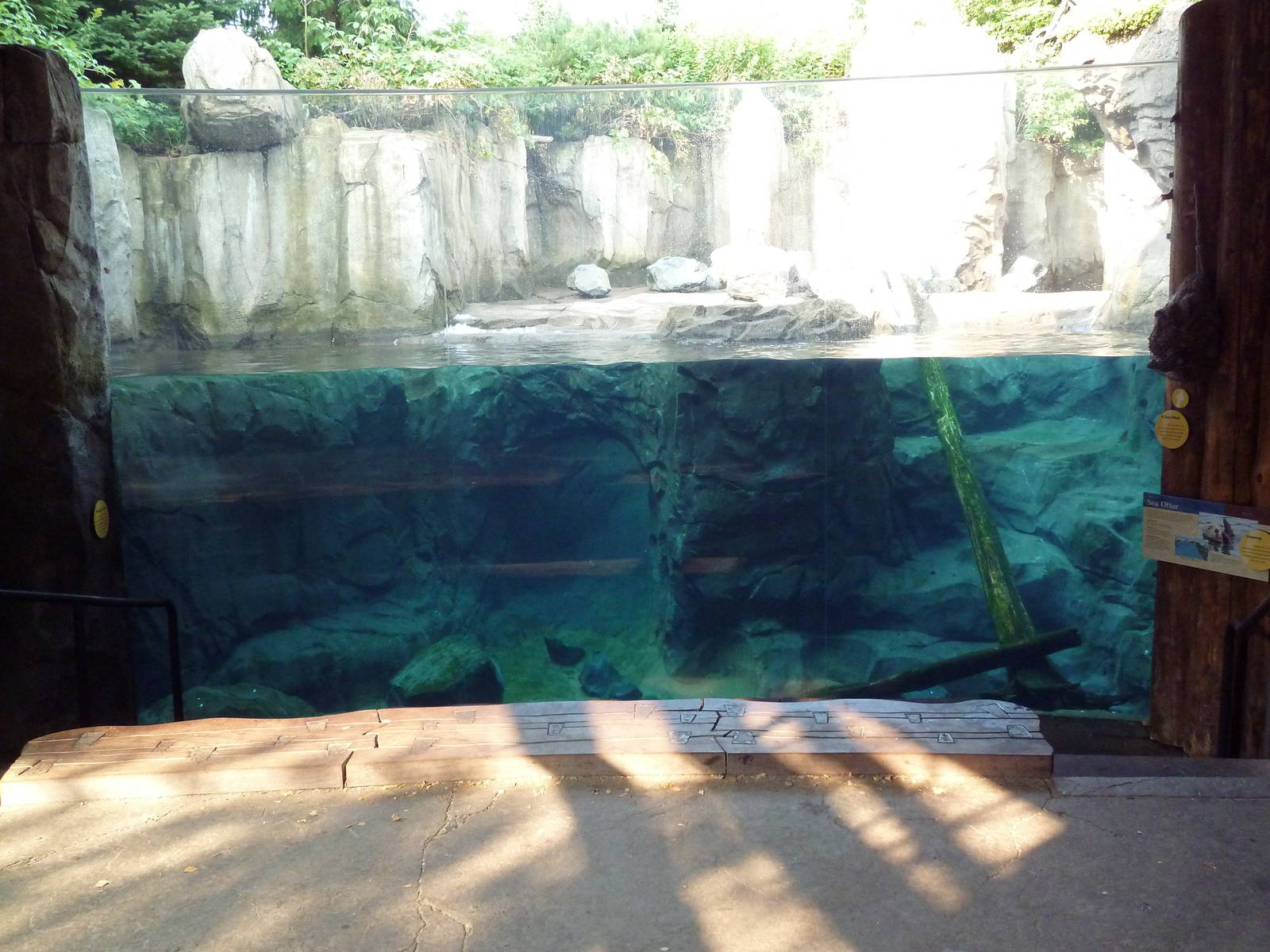 Russia's Grizzly Coast - Sea Otter Exhibit
