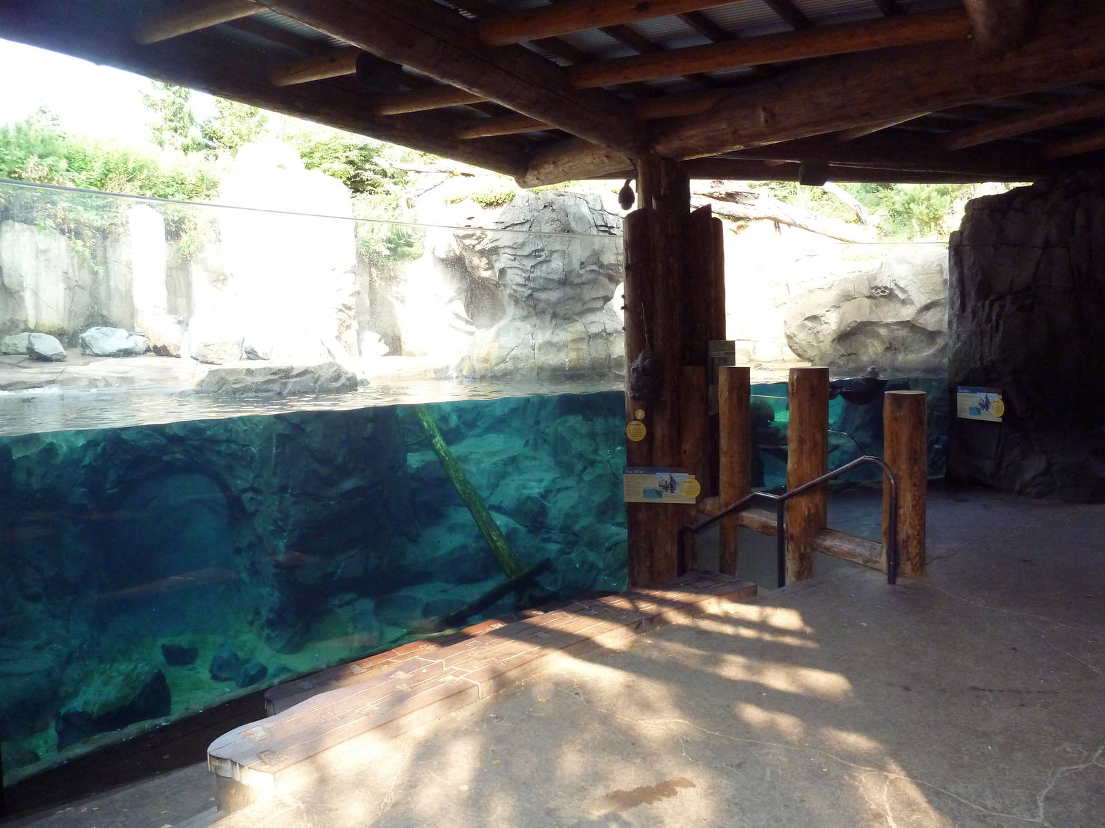Russia's Grizzly Coast - Sea Otter Exhibit
