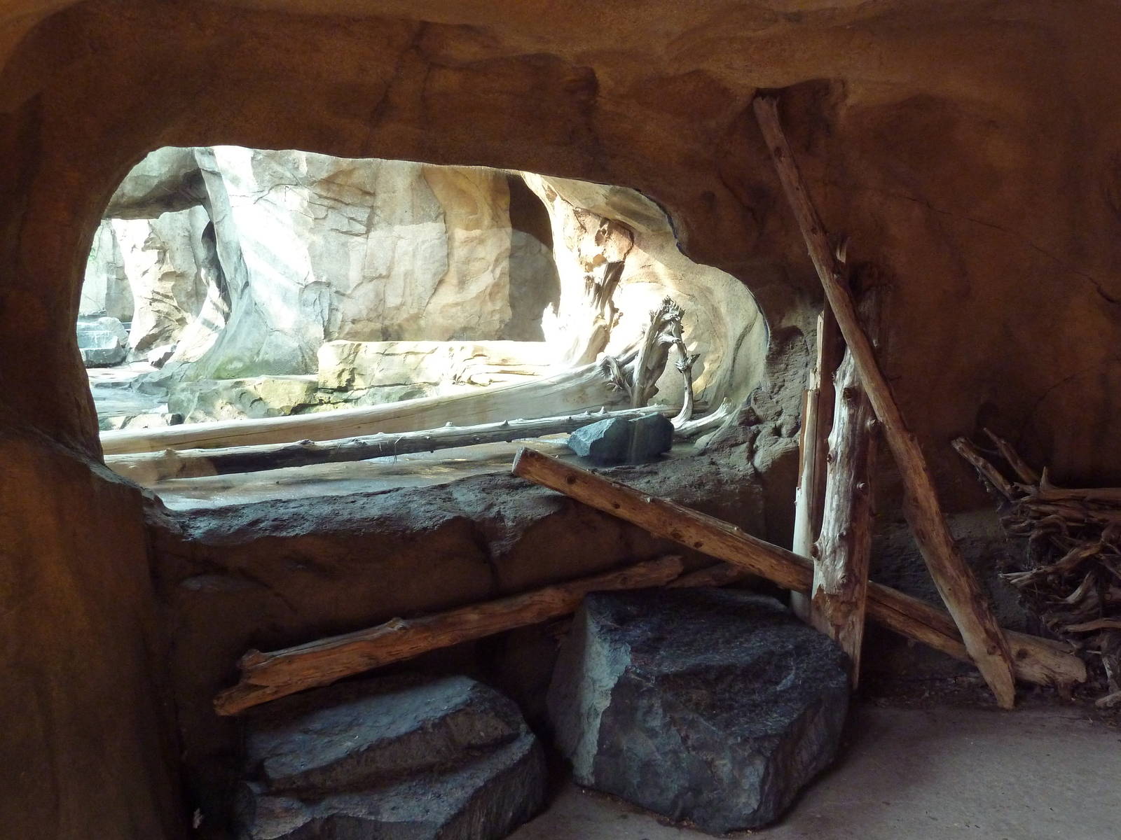 Russia's Grizzly Coast - Sea Otter Viewing Area