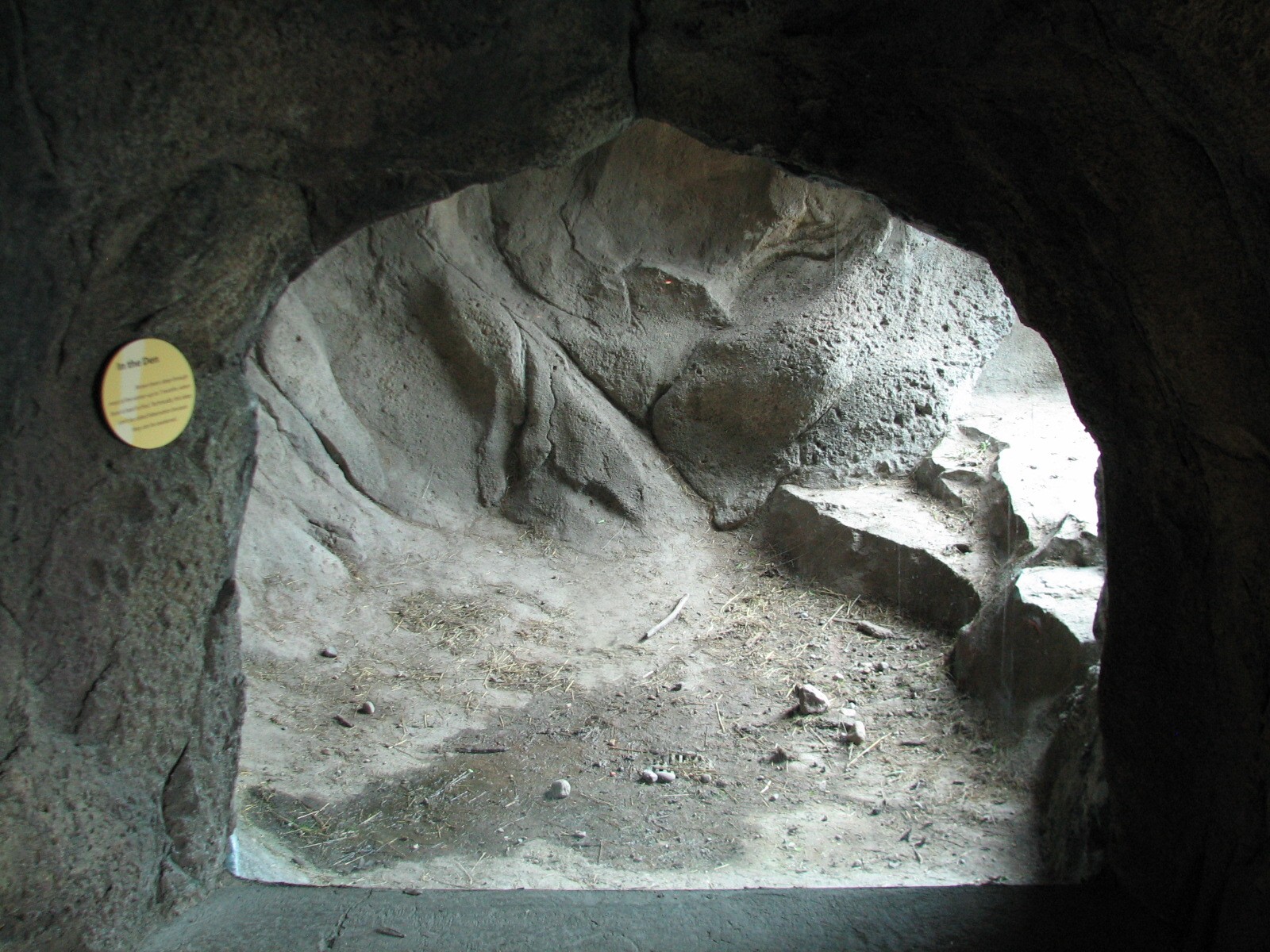 Russia's Grizzly Coast - Subarctic North - Grizzly Bear Exhibit Den View