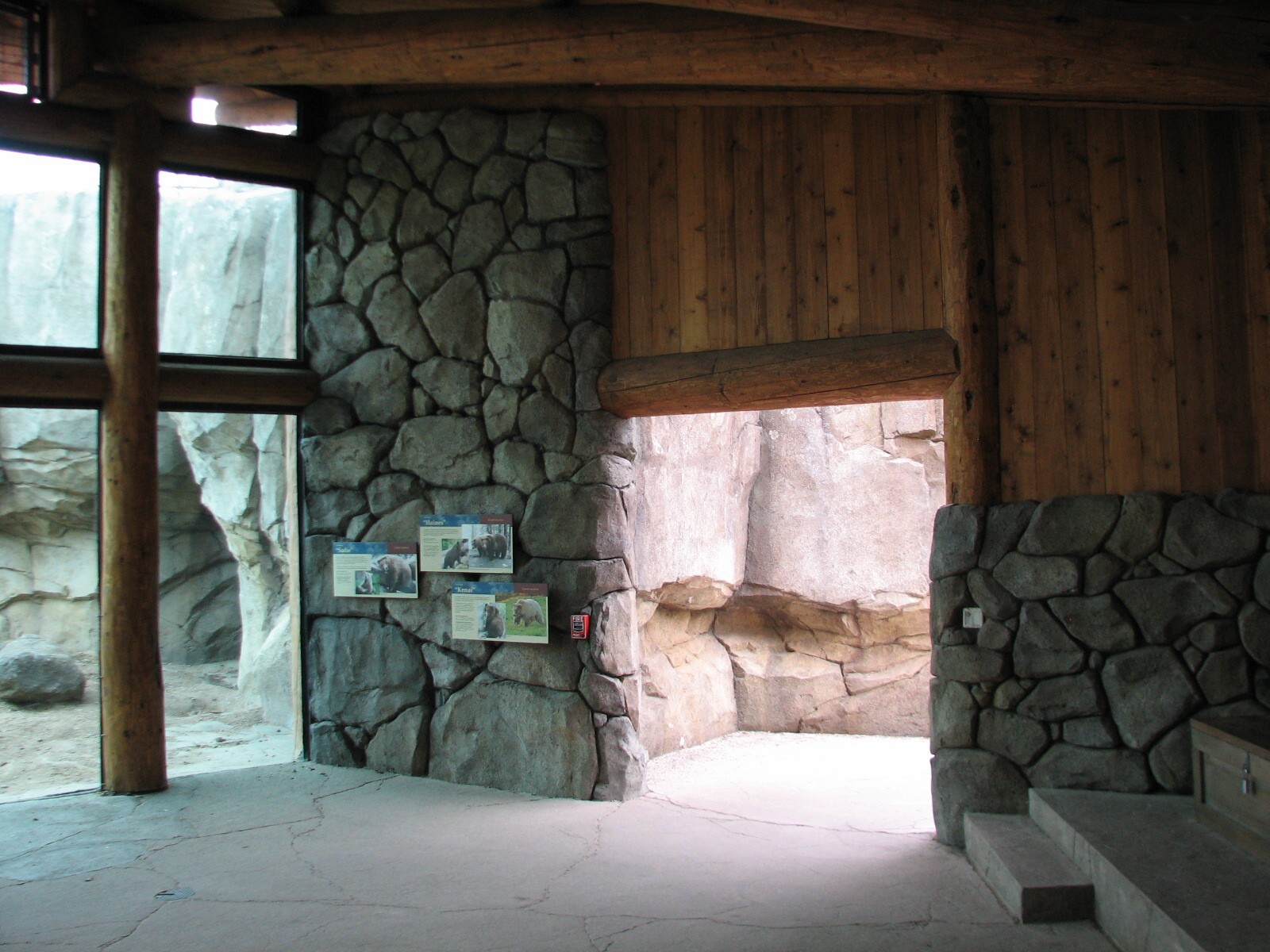 Russia's Grizzly Coast - Subarctic North - Grizzly Bear Exhibit Second View