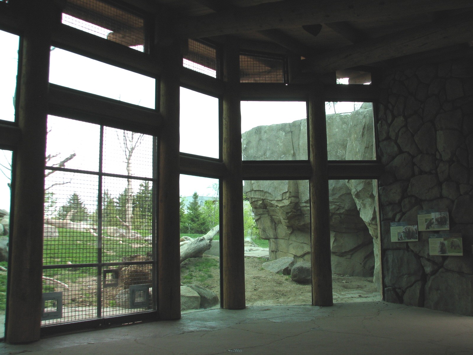 Russia's Grizzly Coast - Subarctic North - Grizzly Bear Exhibit Second View