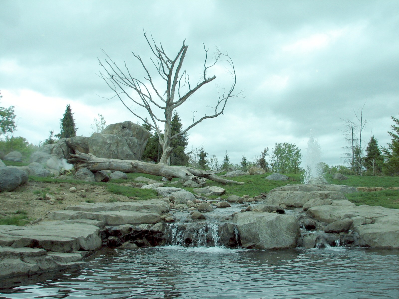 Russia's Grizzly Coast - Subarctic North - Grizzly Bear Exhibit