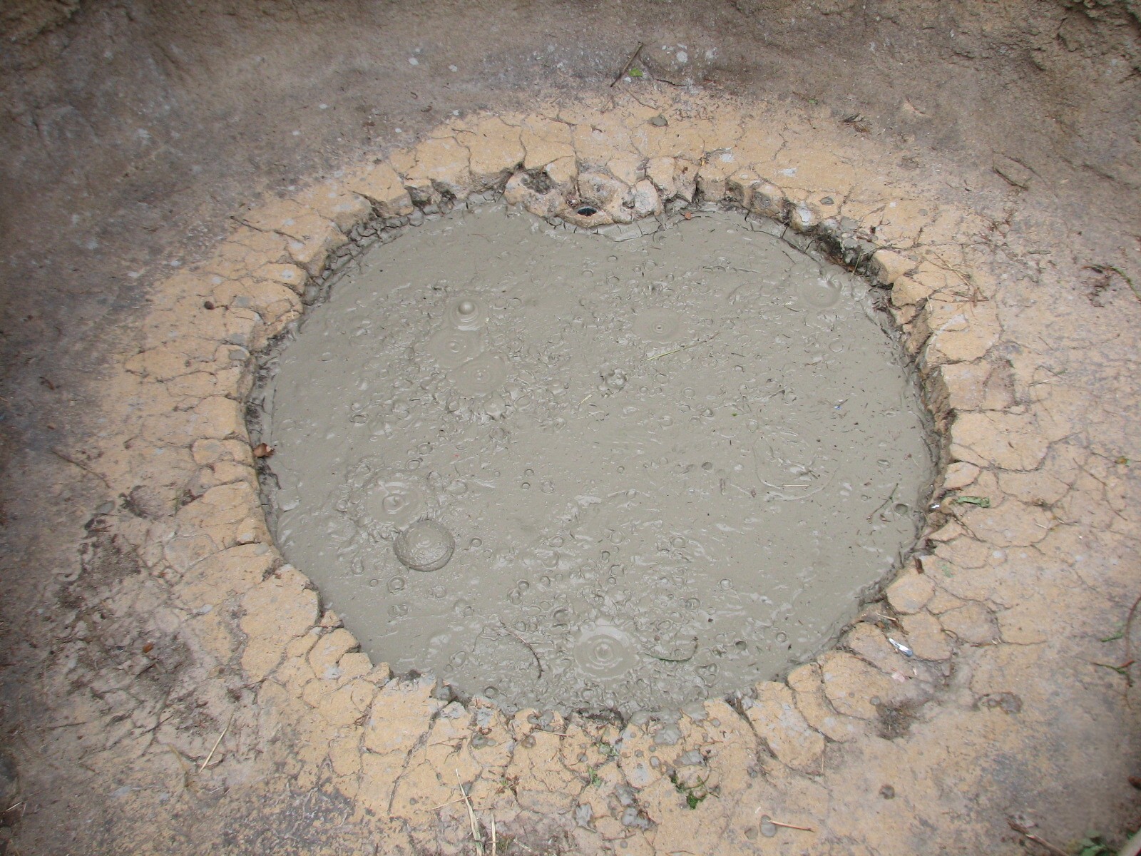 Russia's Grizzly Coast - Subarctic North - Mudpot