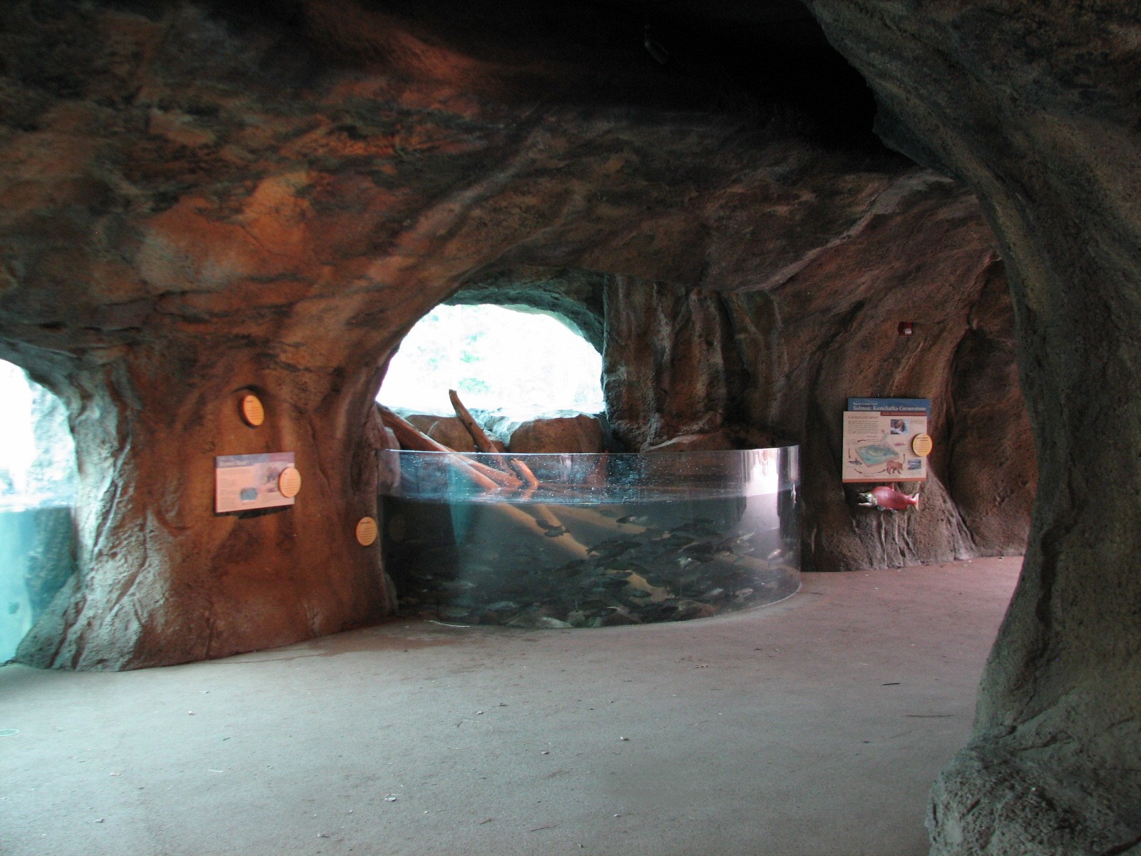 Russia's Grizzly Coast - Subarctic North - Salmon Exhibit