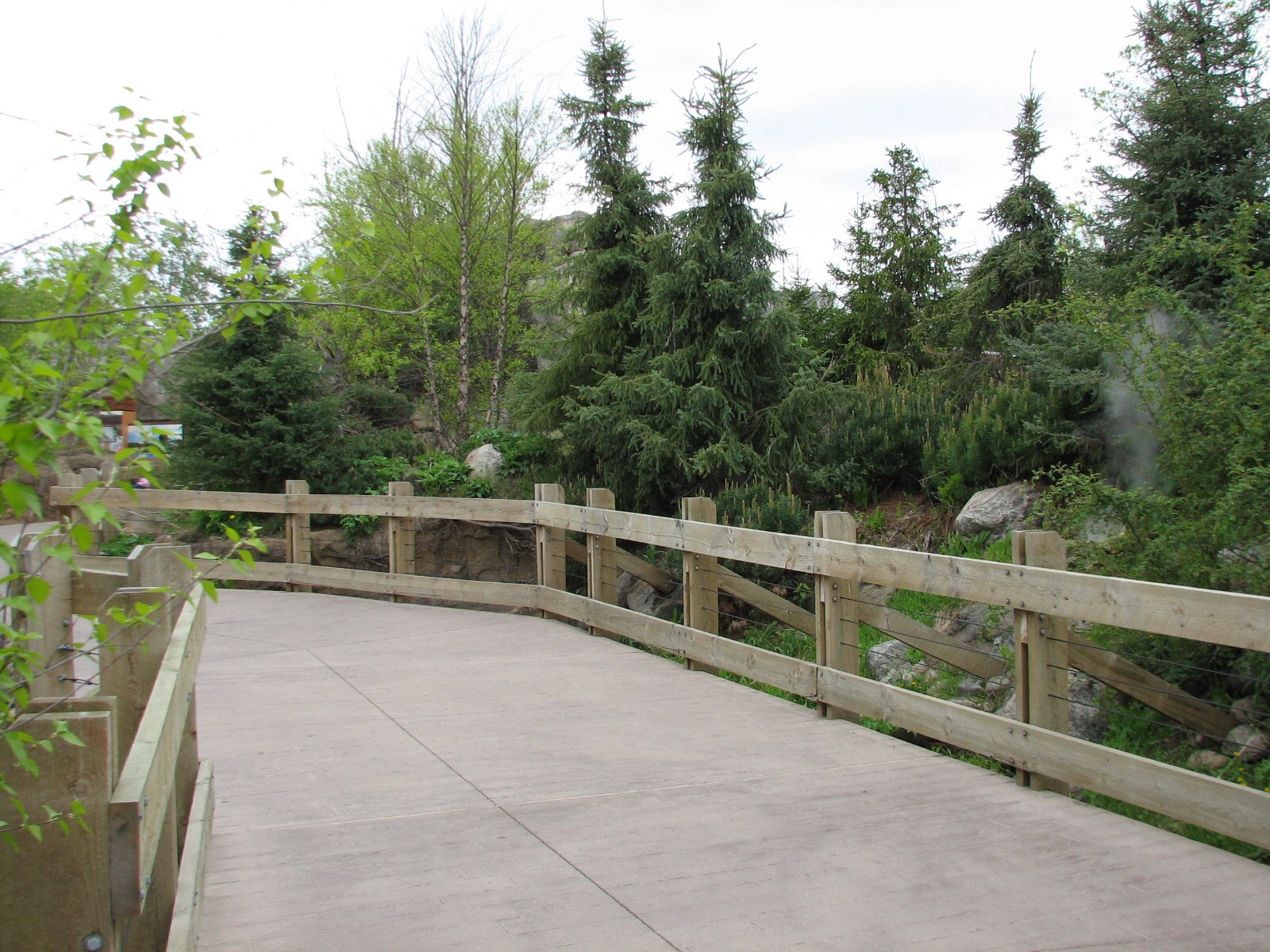 Russia's Grizzly Coast - Subarctic North - Steam Vent Walkway