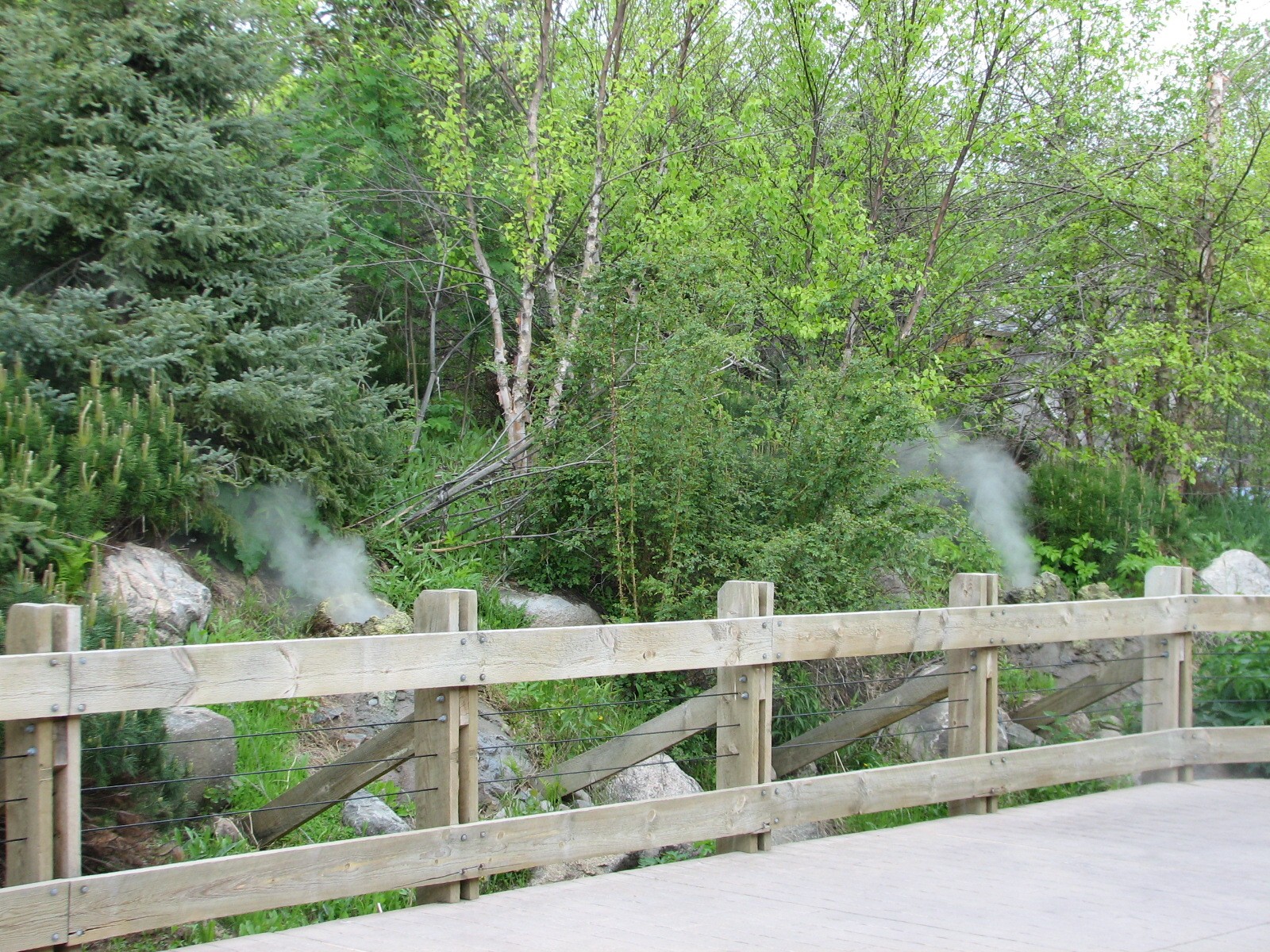 Russia's Grizzly Coast - Subarctic North - Steam Vent Walkway