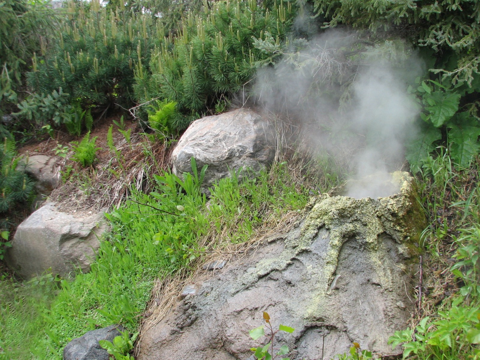 Russia's Grizzly Coast - Subarctic North - Steam Vent