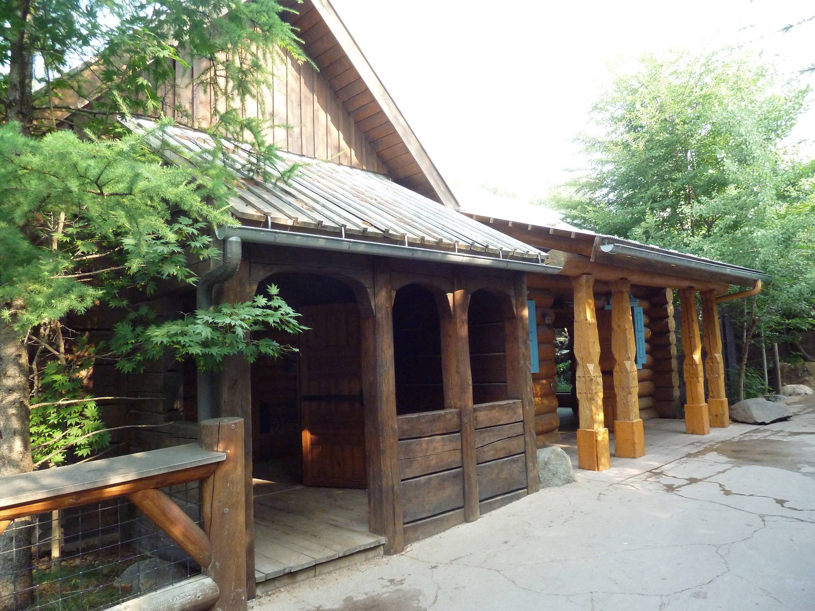 Russia's Grizzly Coast - Wild Boar + Amur Leopard Viewing Cabin