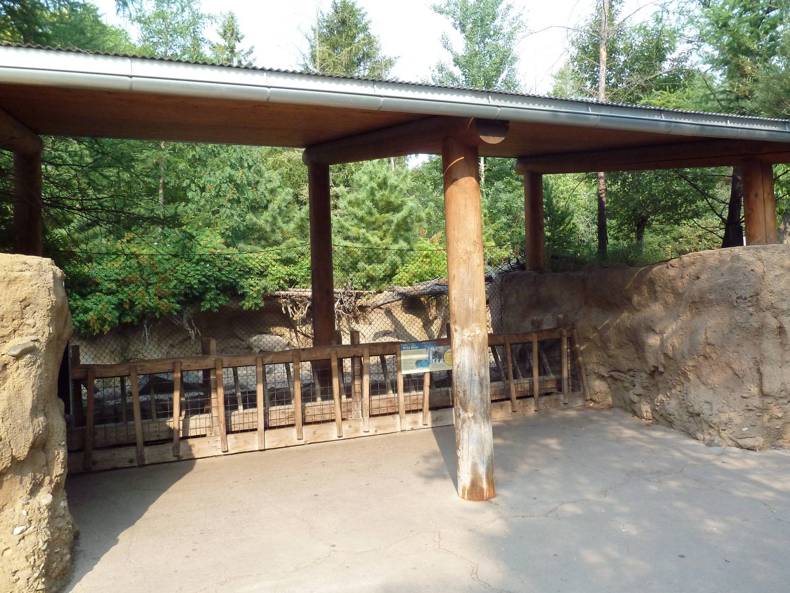 Russia's Grizzly Coast - Wild Boar Exhibit